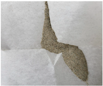 Atmosphere 16 00761 i002