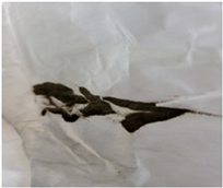 Atmosphere 16 00761 i003