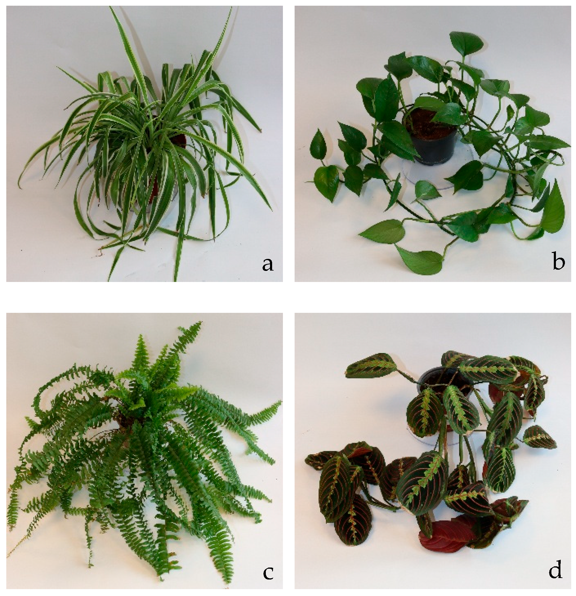 Atmosphere 16 00783 g003