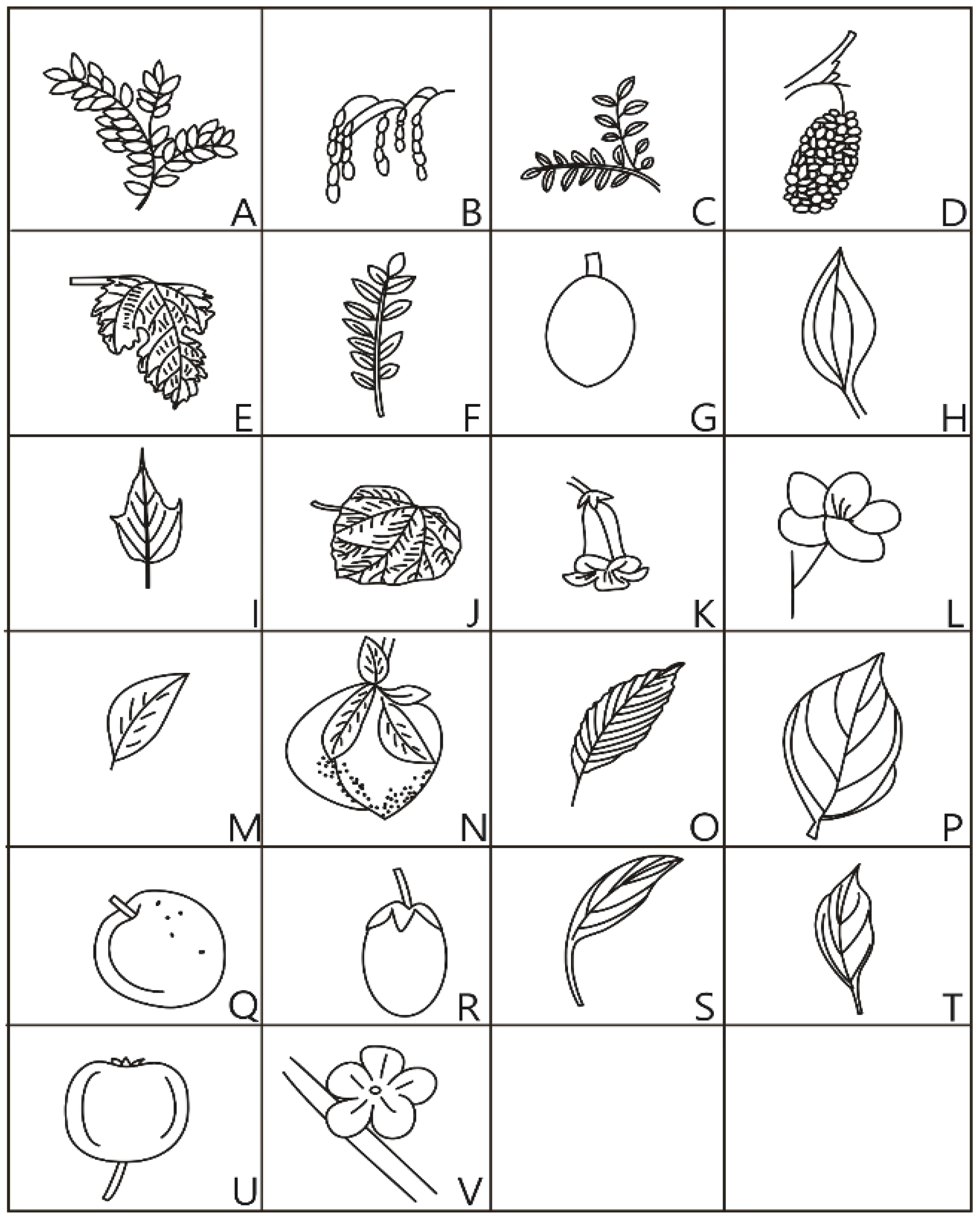 Atmosphere 16 00824 g003