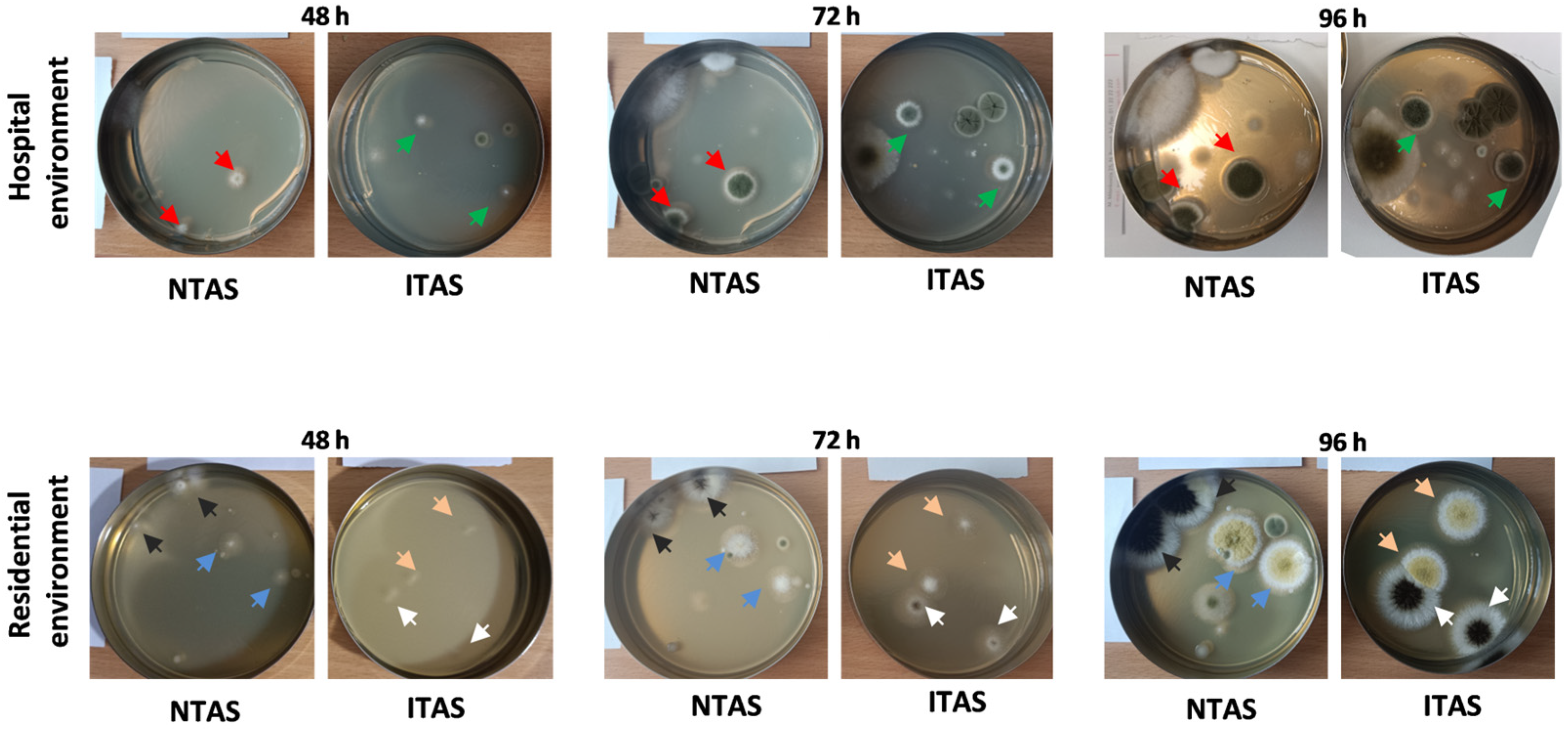 Atmosphere 16 00896 g002