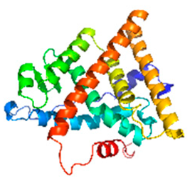 Atmosphere 16 00919 i001