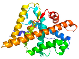 Atmosphere 16 00919 i002