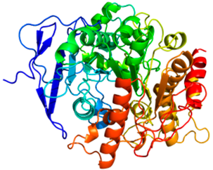 Atmosphere 16 00919 i005