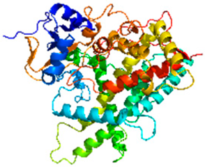 Atmosphere 16 00919 i008