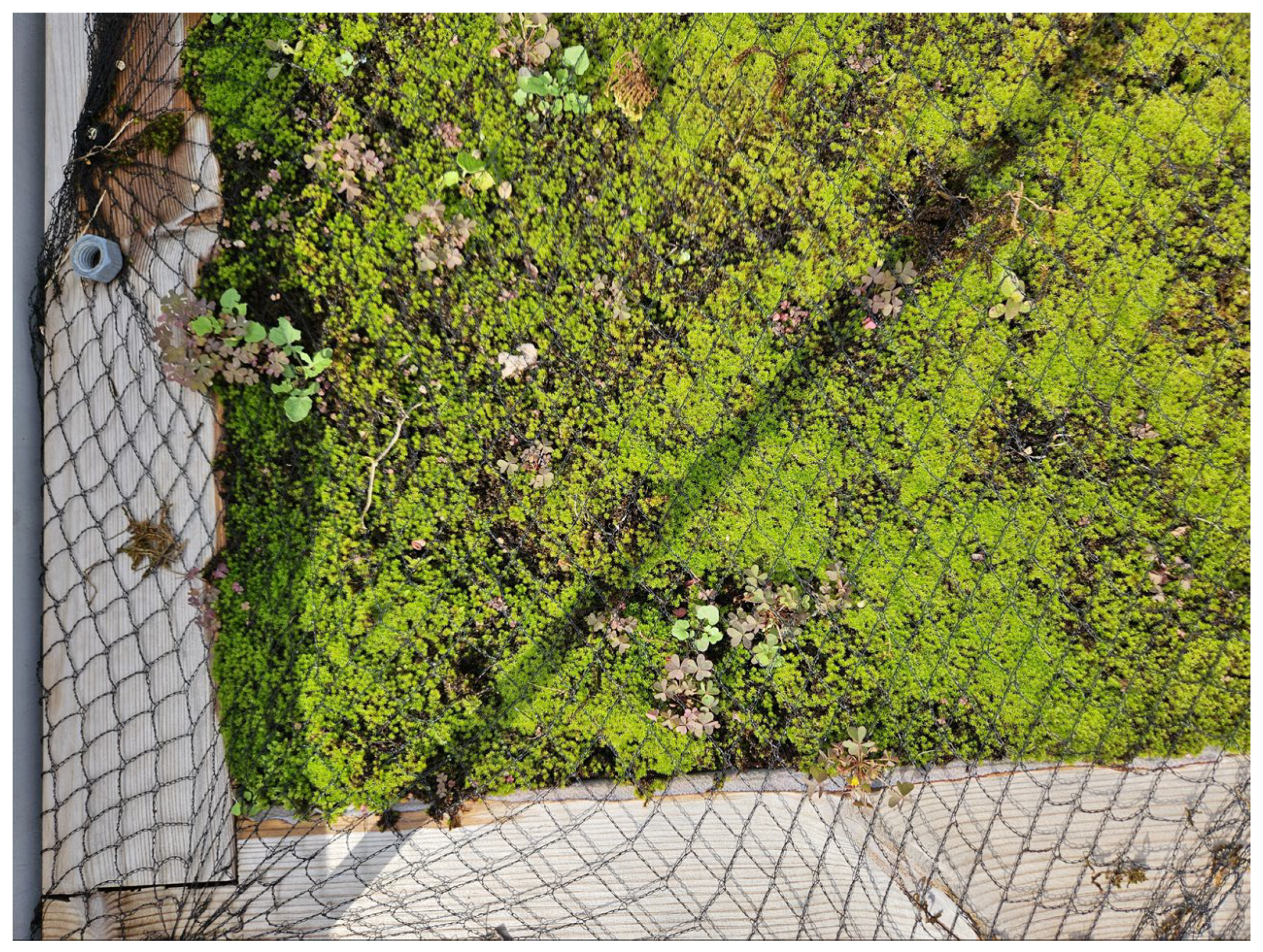 Atmosphere 16 01277 g002