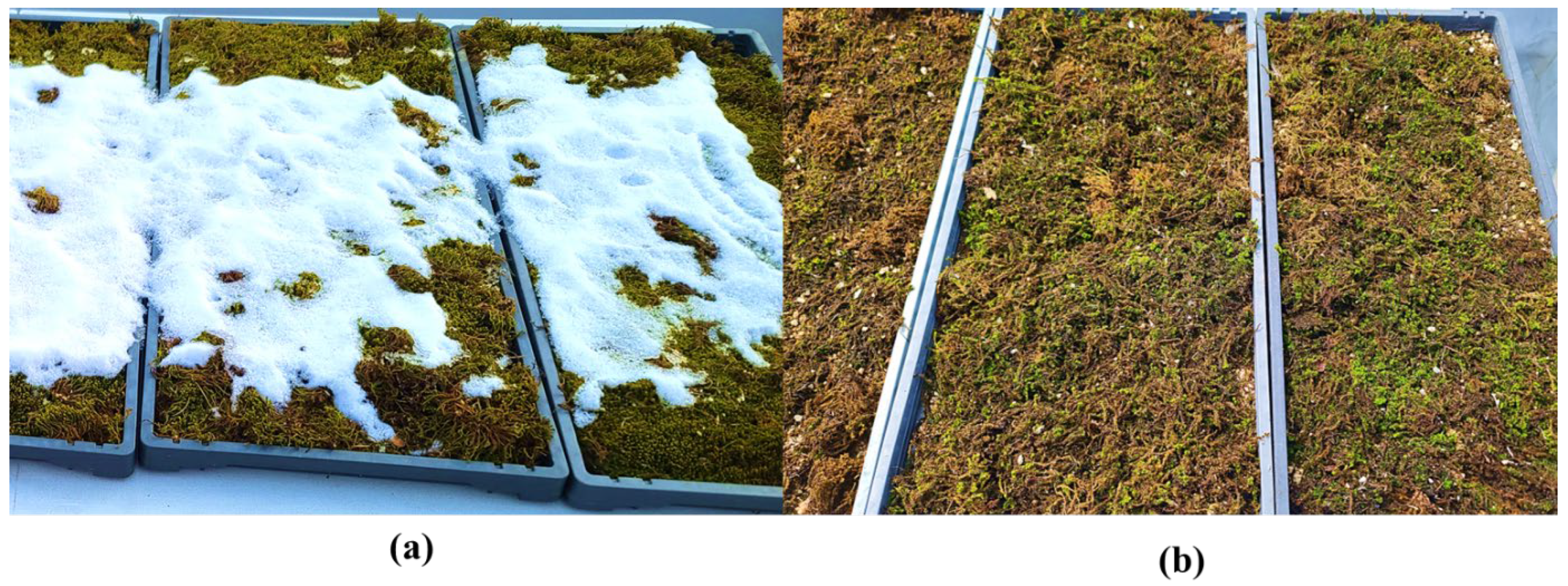 Atmosphere 16 01277 g004