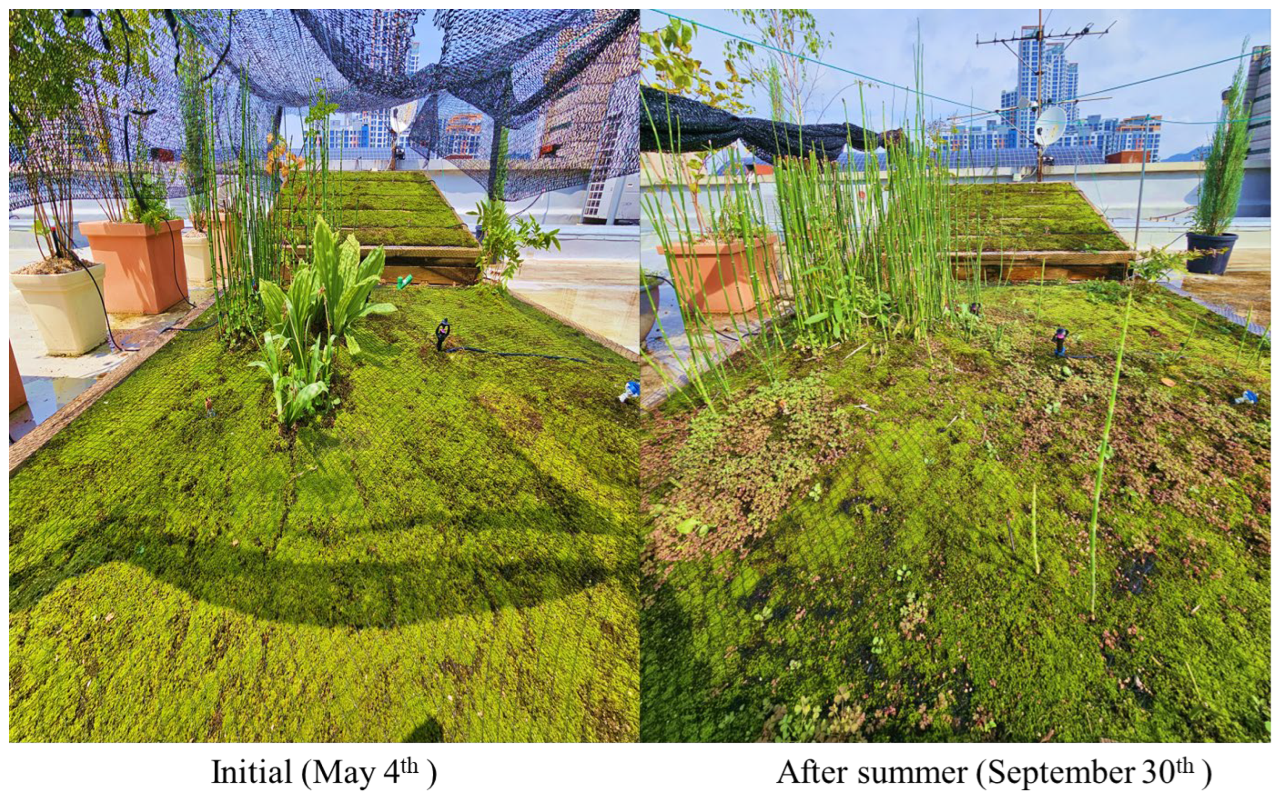 Atmosphere 16 01277 g009