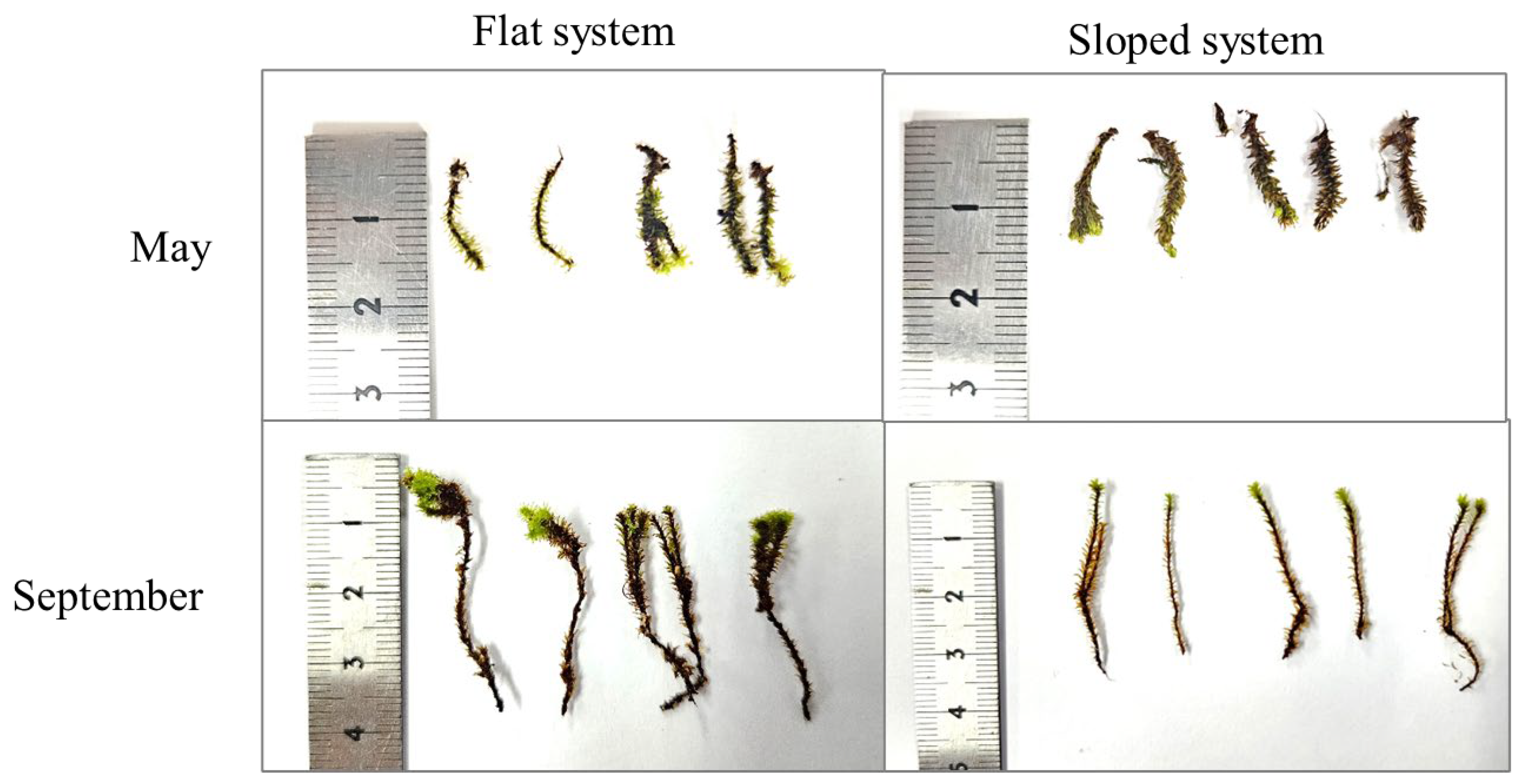 Atmosphere 16 01277 g010