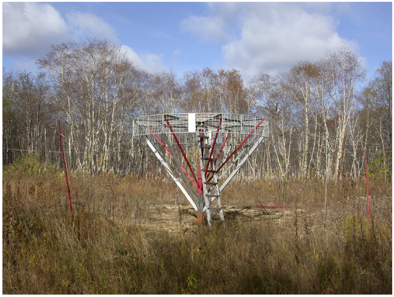 Atmosphere 16 01282 g001