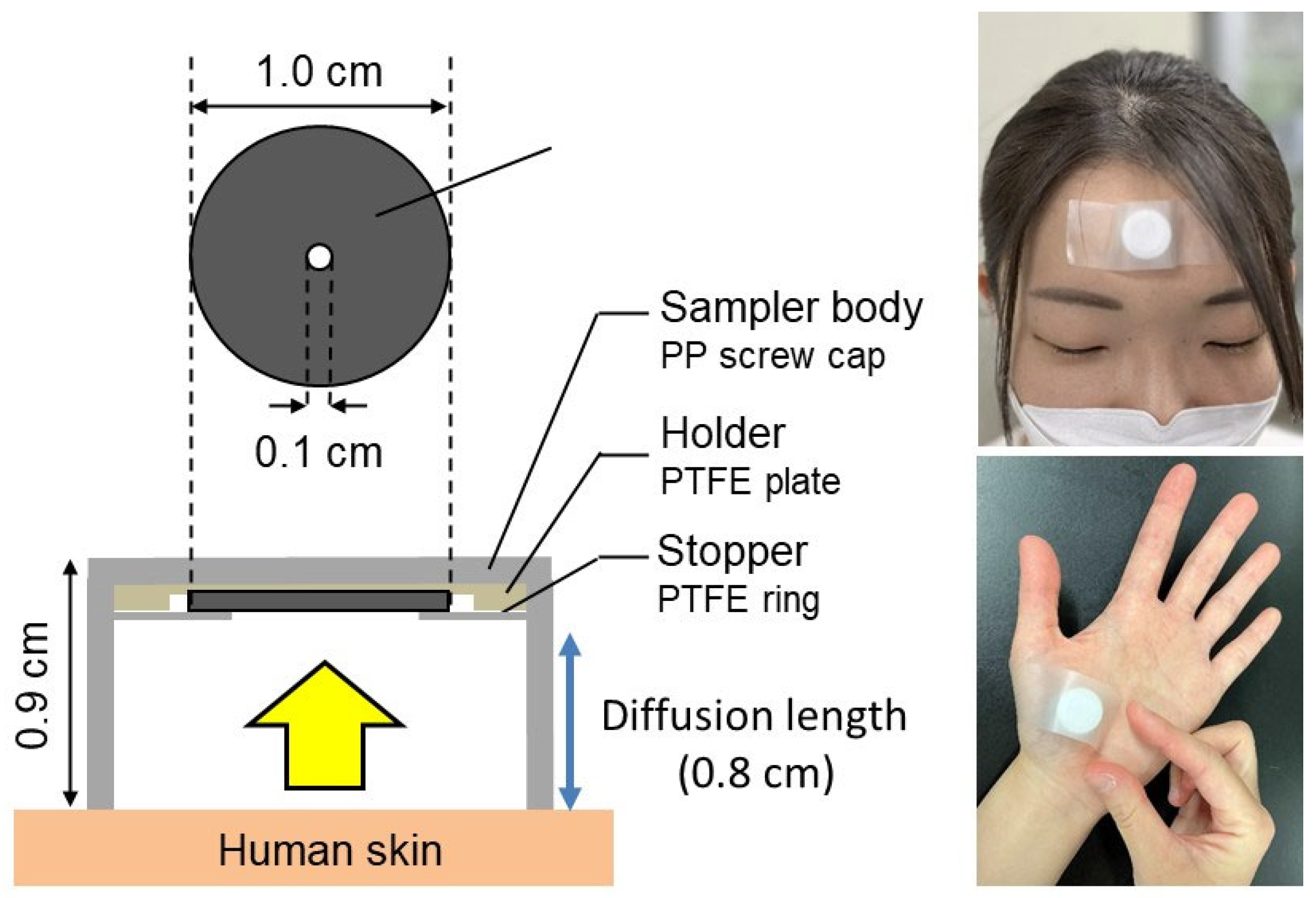 Atmosphere 16 01331 g002