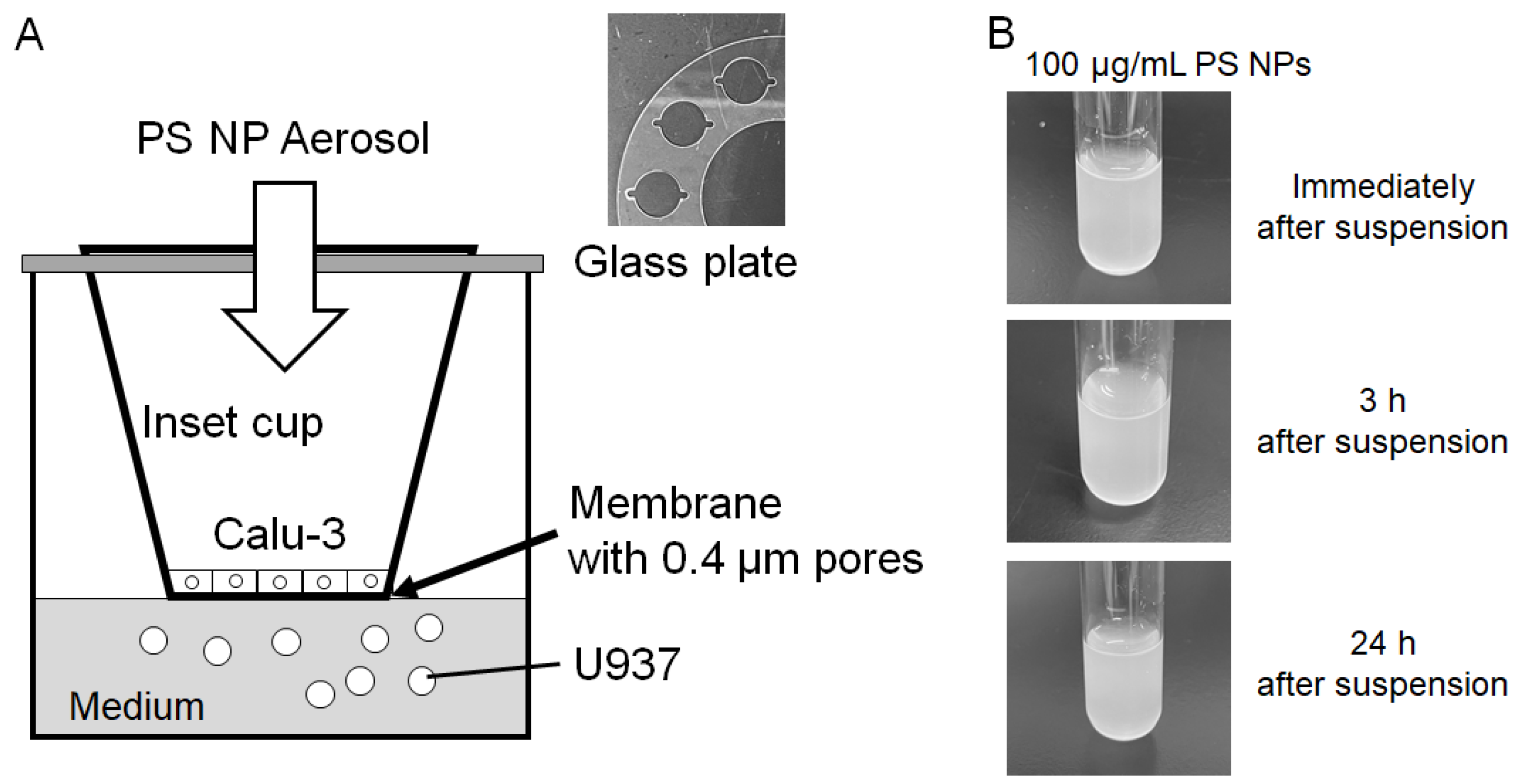 Atmosphere 16 01343 g002