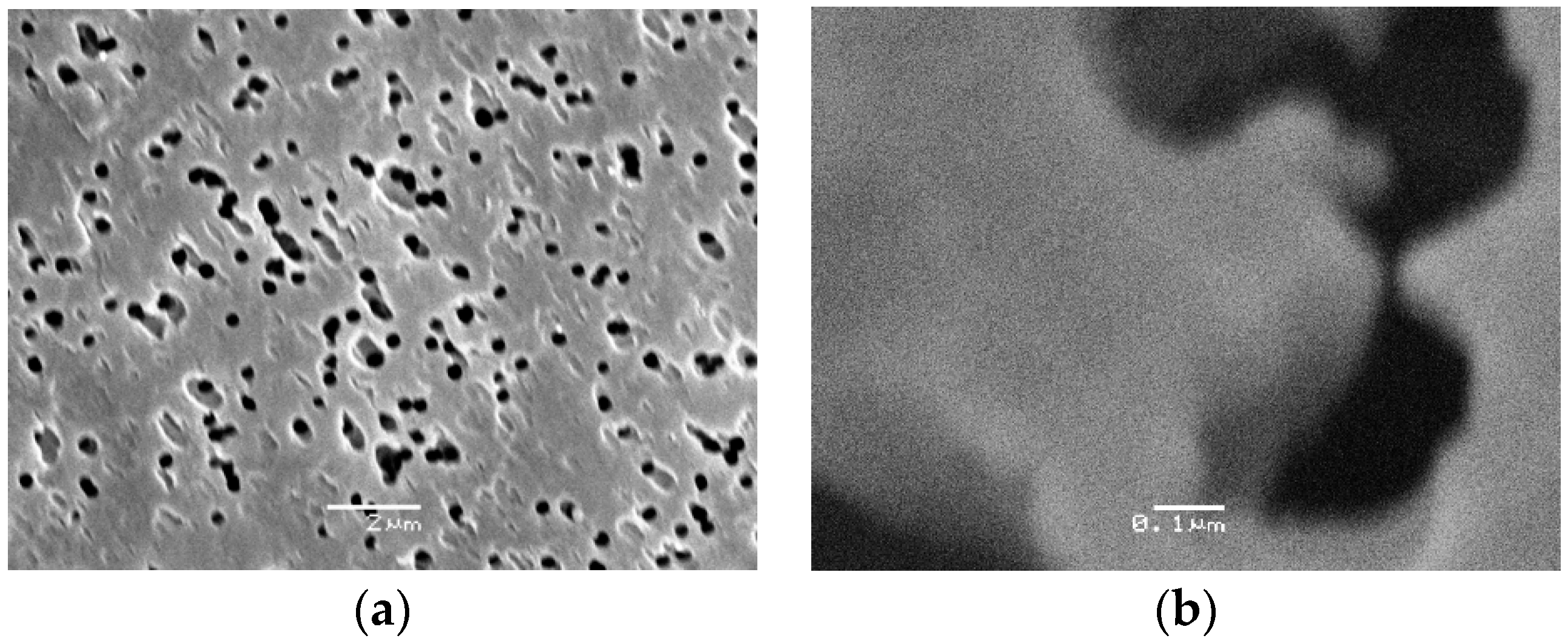 Atoms 07 00051 g007