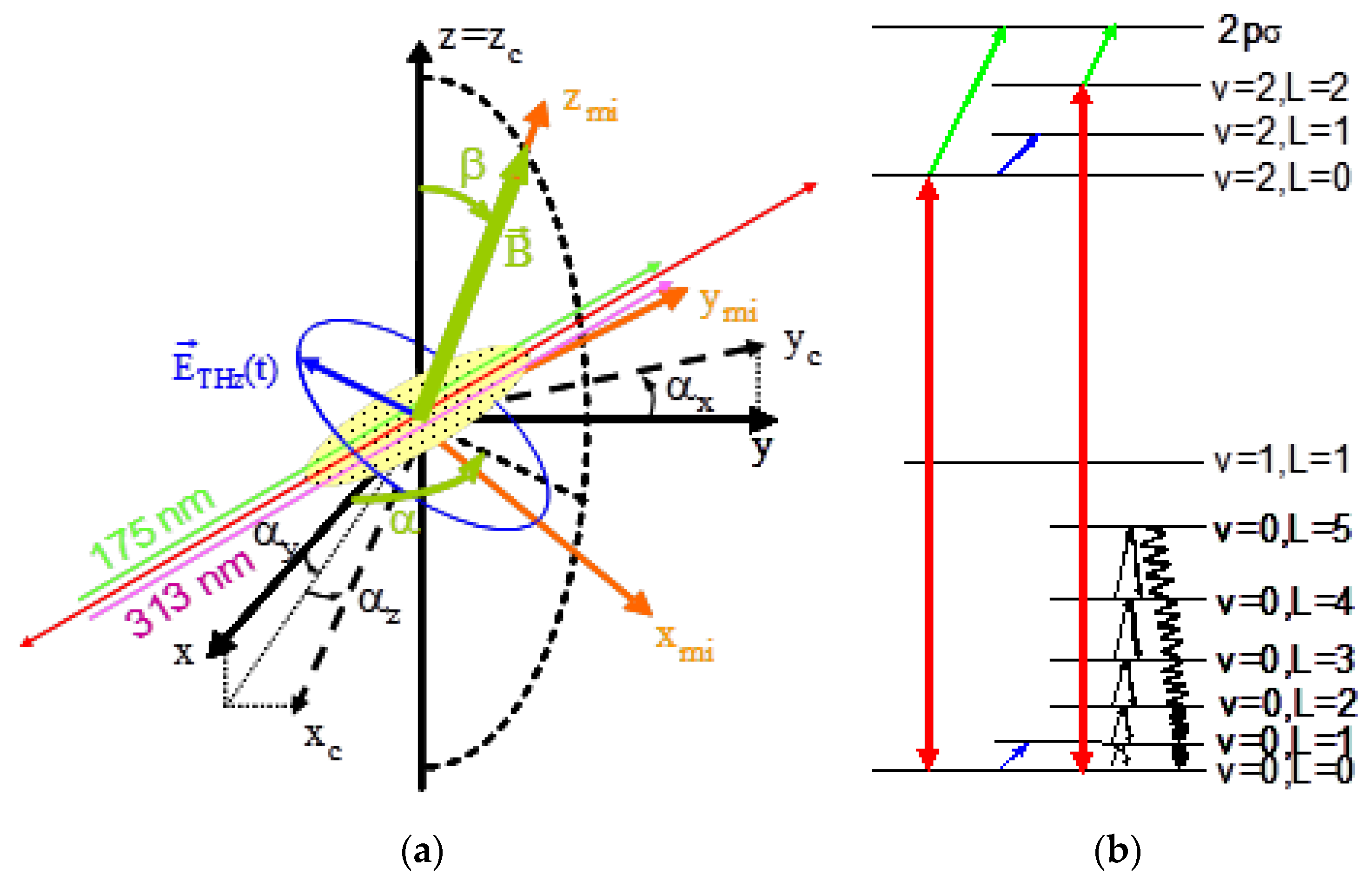Atoms 08 00070 g001 Atoms 08 00070 g001