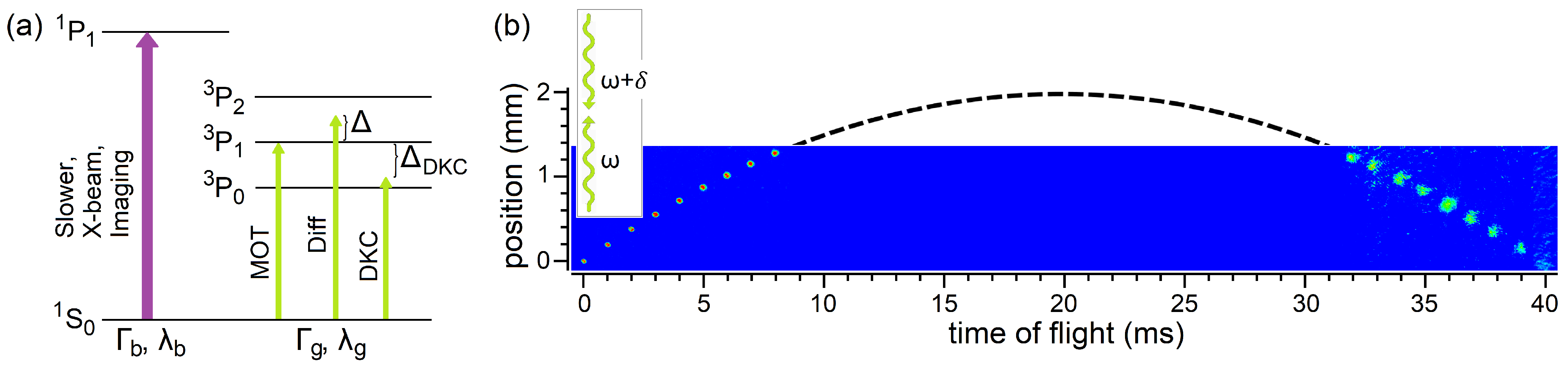 Atoms 09 00058 g001