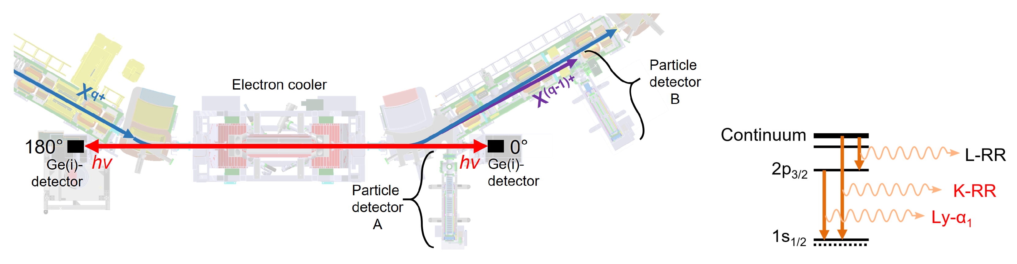 Atoms 10 00141 g003 Atoms 10 00141 g003