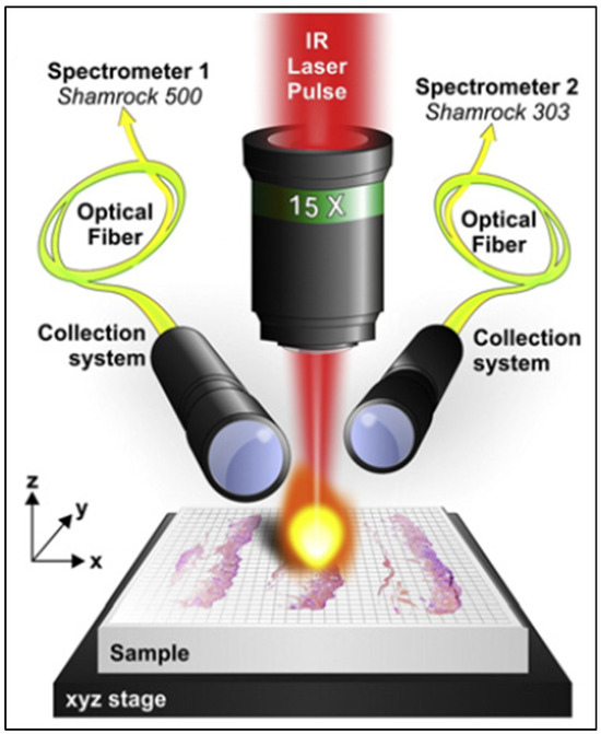 Laser-Induced Breakdown Spectroscopy in Biological Samples