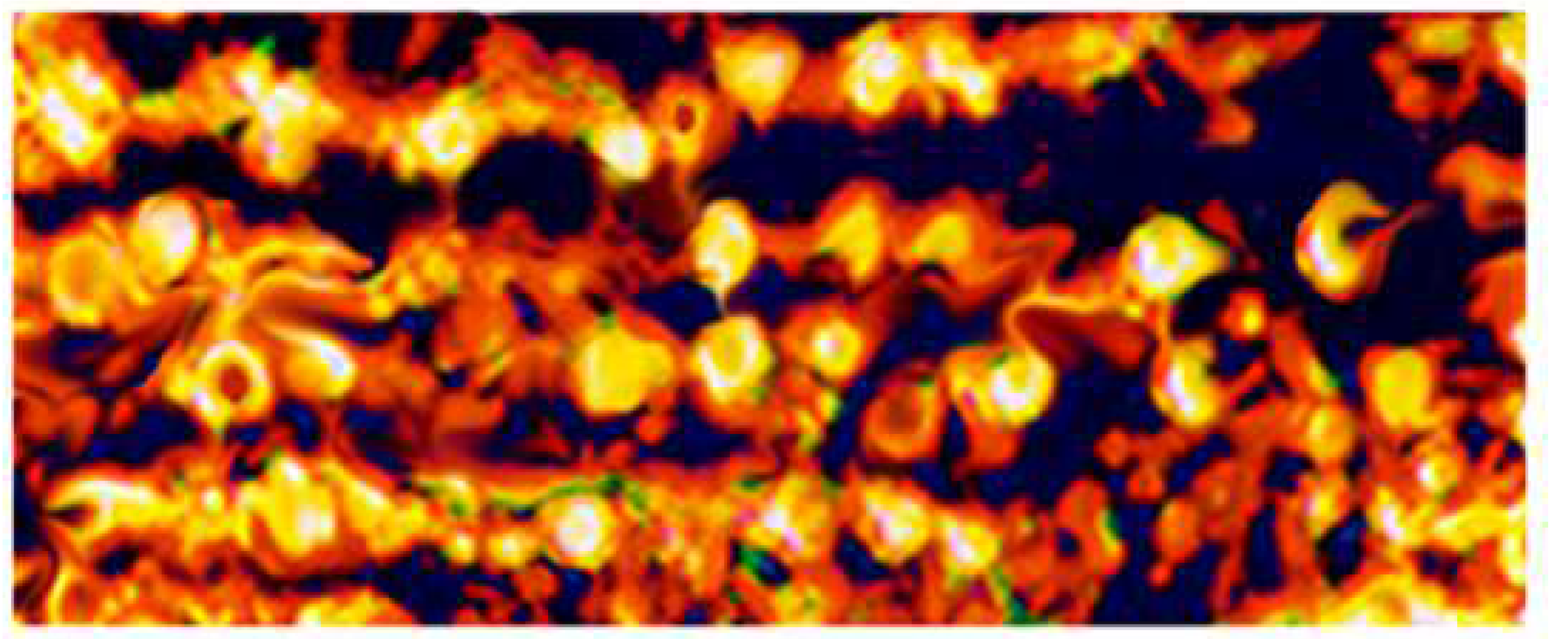 Atoms 12 00023 g007 Atoms 12 00023 g007