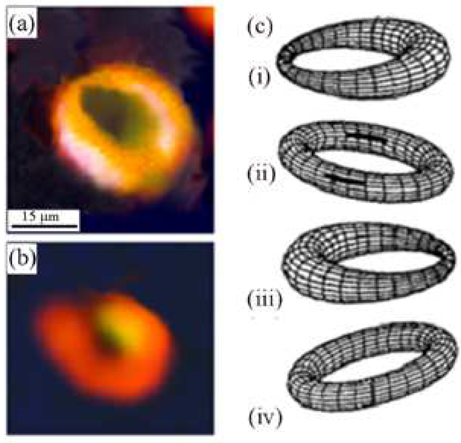 Atoms 12 00023 g011 Atoms 12 00023 g011