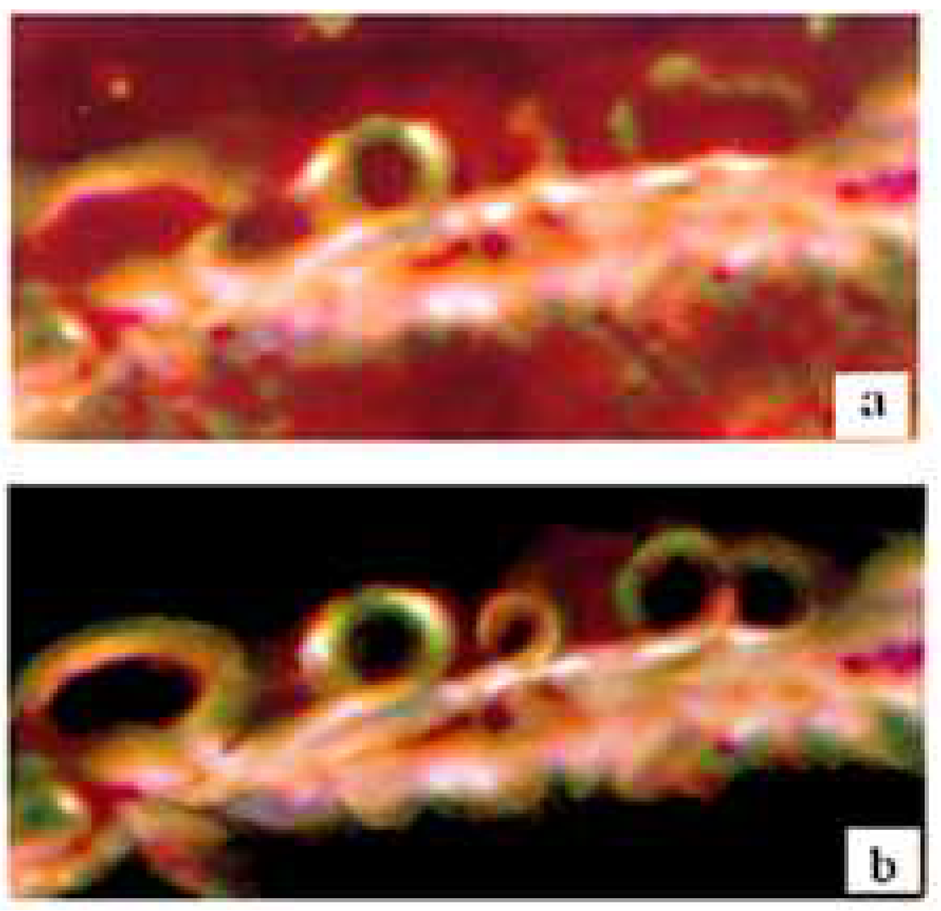 Atoms 12 00023 g013 Atoms 12 00023 g013