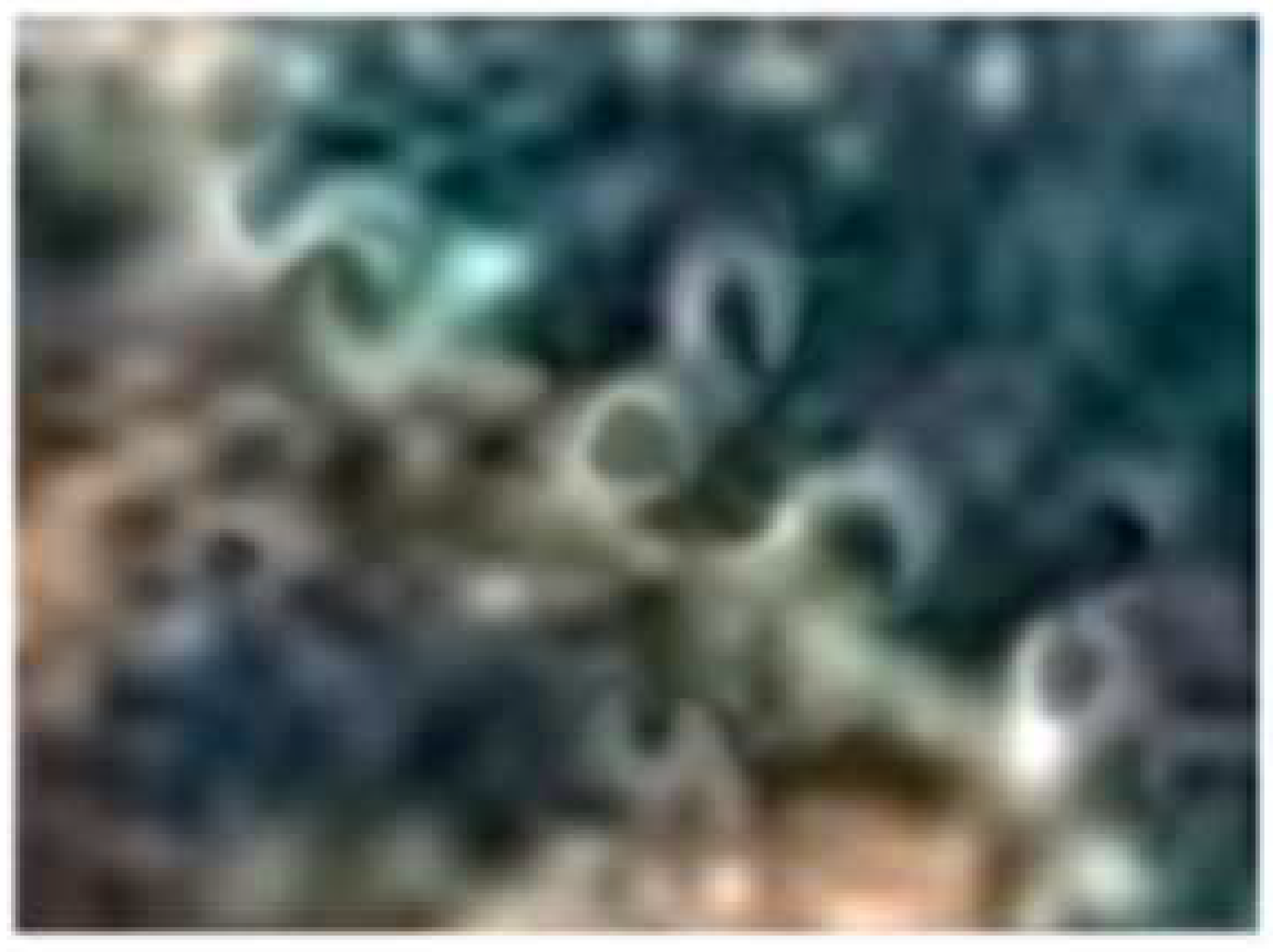 Atoms 12 00023 g021 Atoms 12 00023 g021