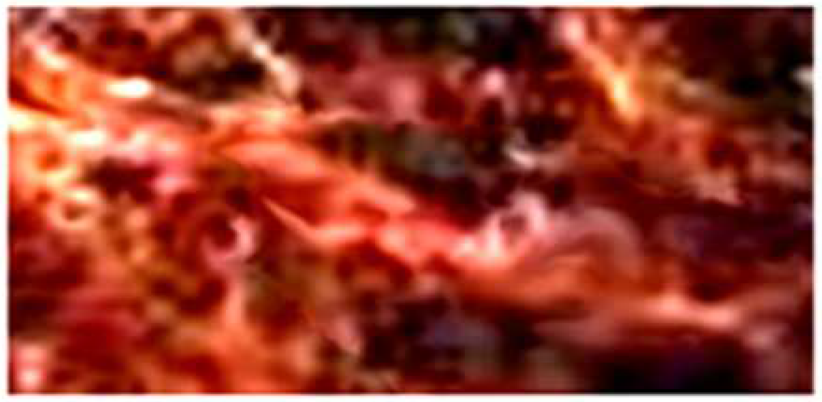 Atoms 12 00023 g023 Atoms 12 00023 g023