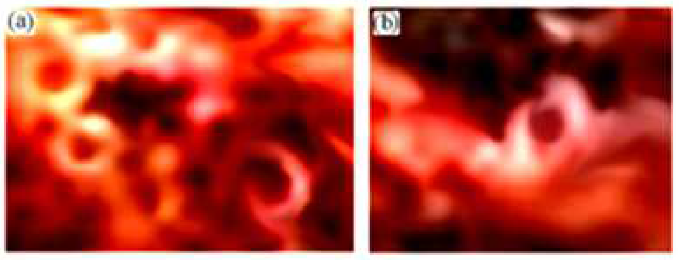 Atoms 12 00023 g024 Atoms 12 00023 g024