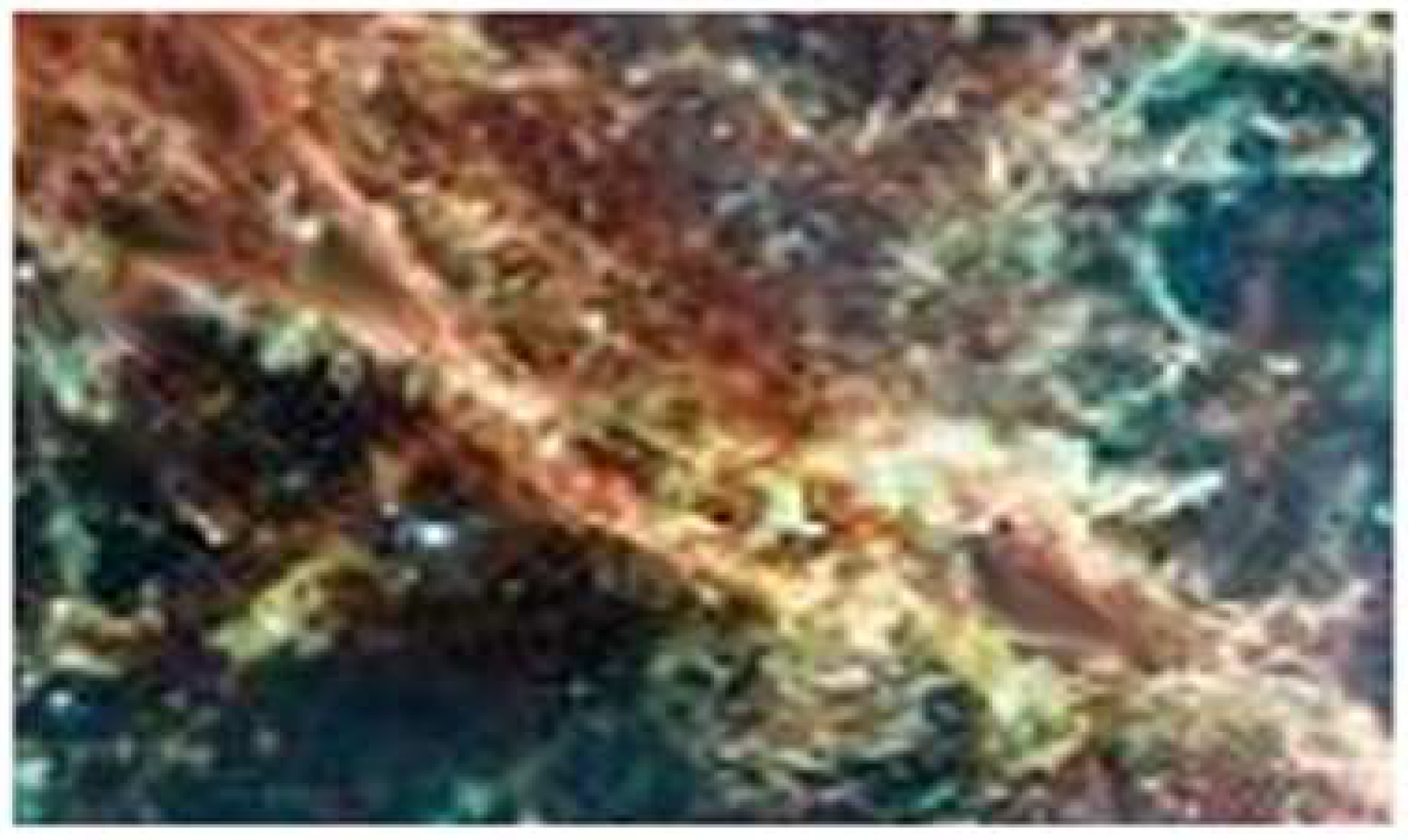 Atoms 12 00023 g025 Atoms 12 00023 g025