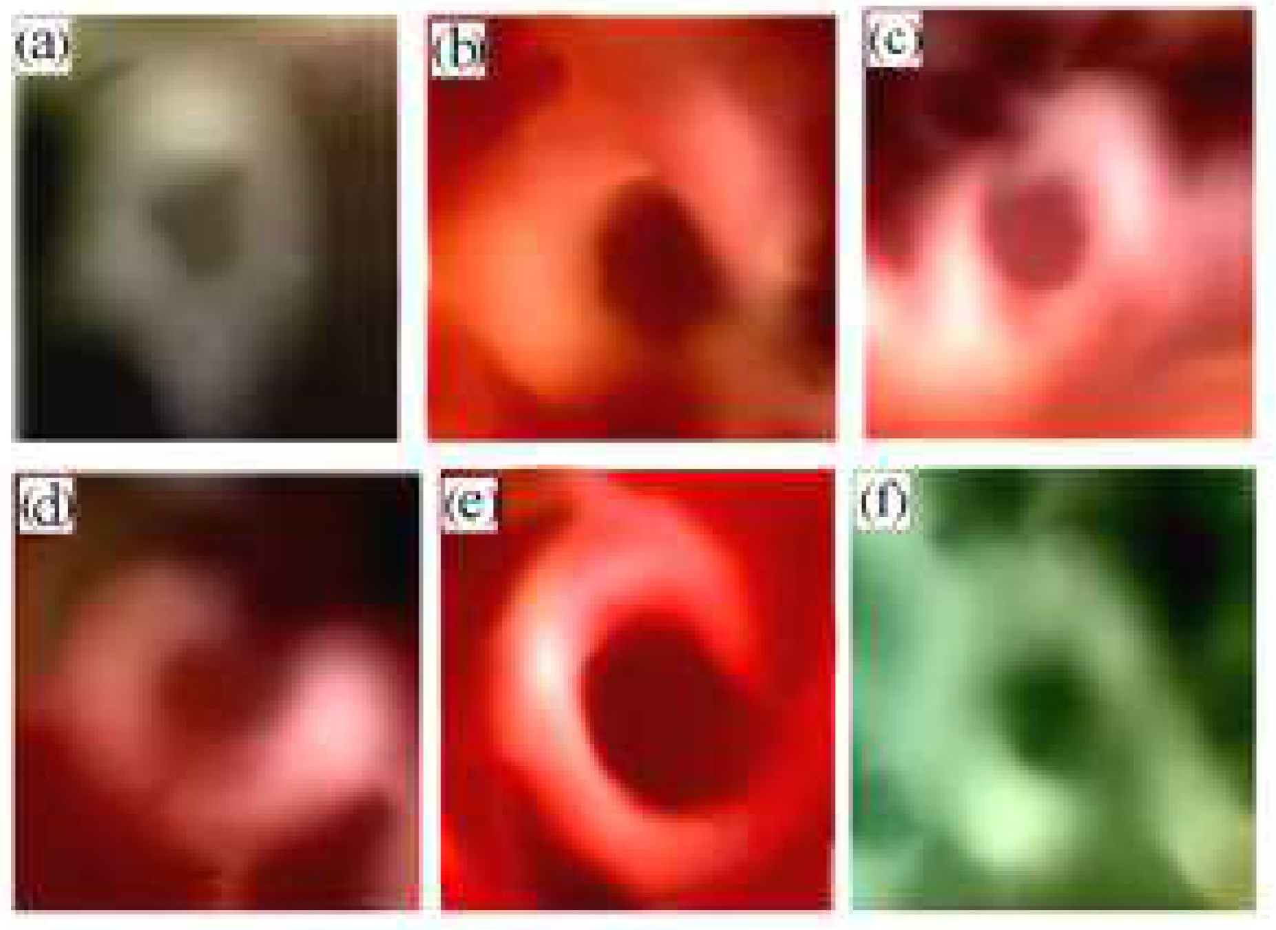 Atoms 12 00023 g026 Atoms 12 00023 g026