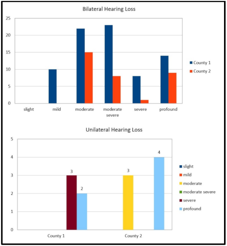Audiolres 11 00017 g002