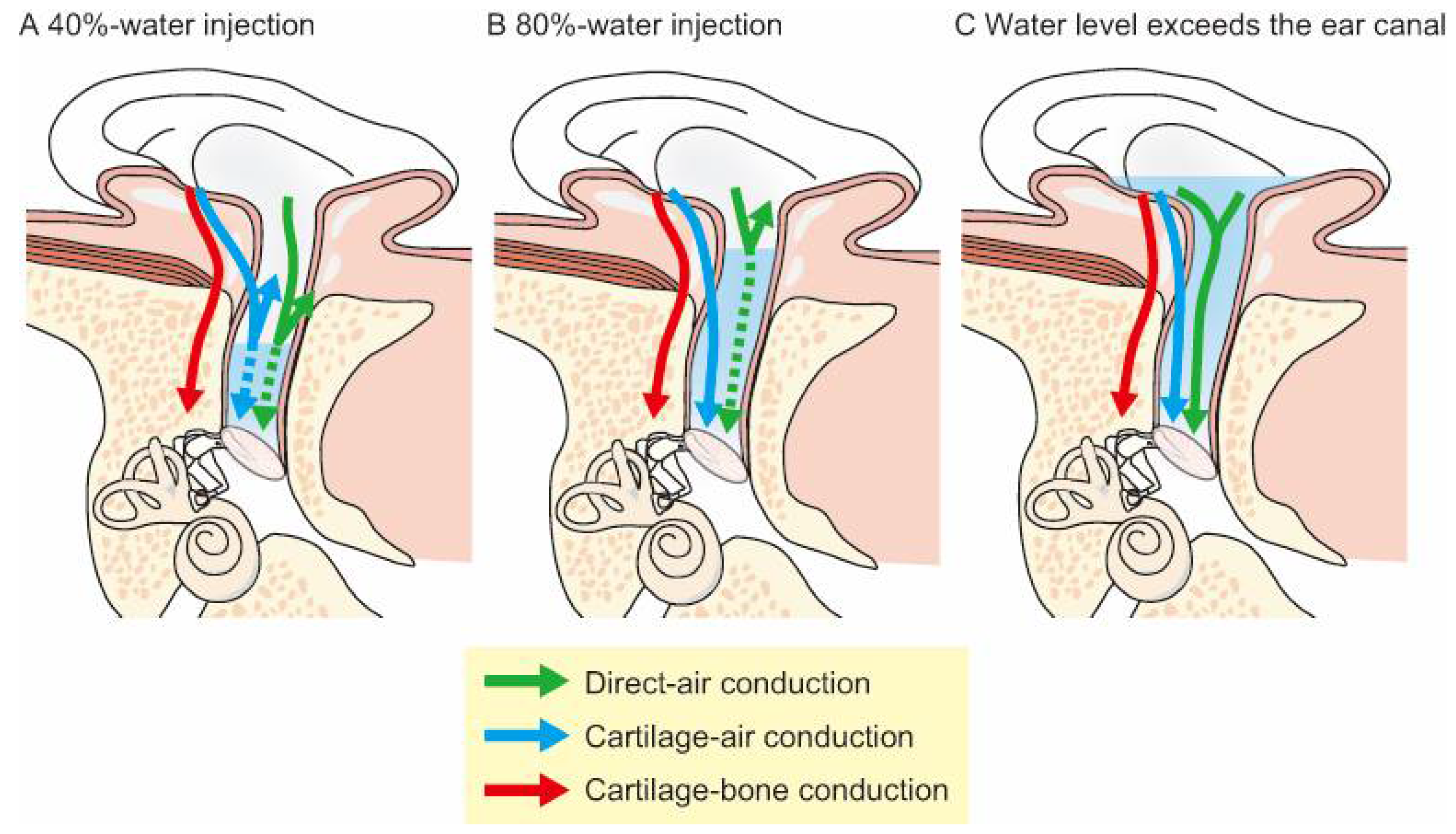 Audiolres 11 00023 g003 Audiolres 11 00023 g003
