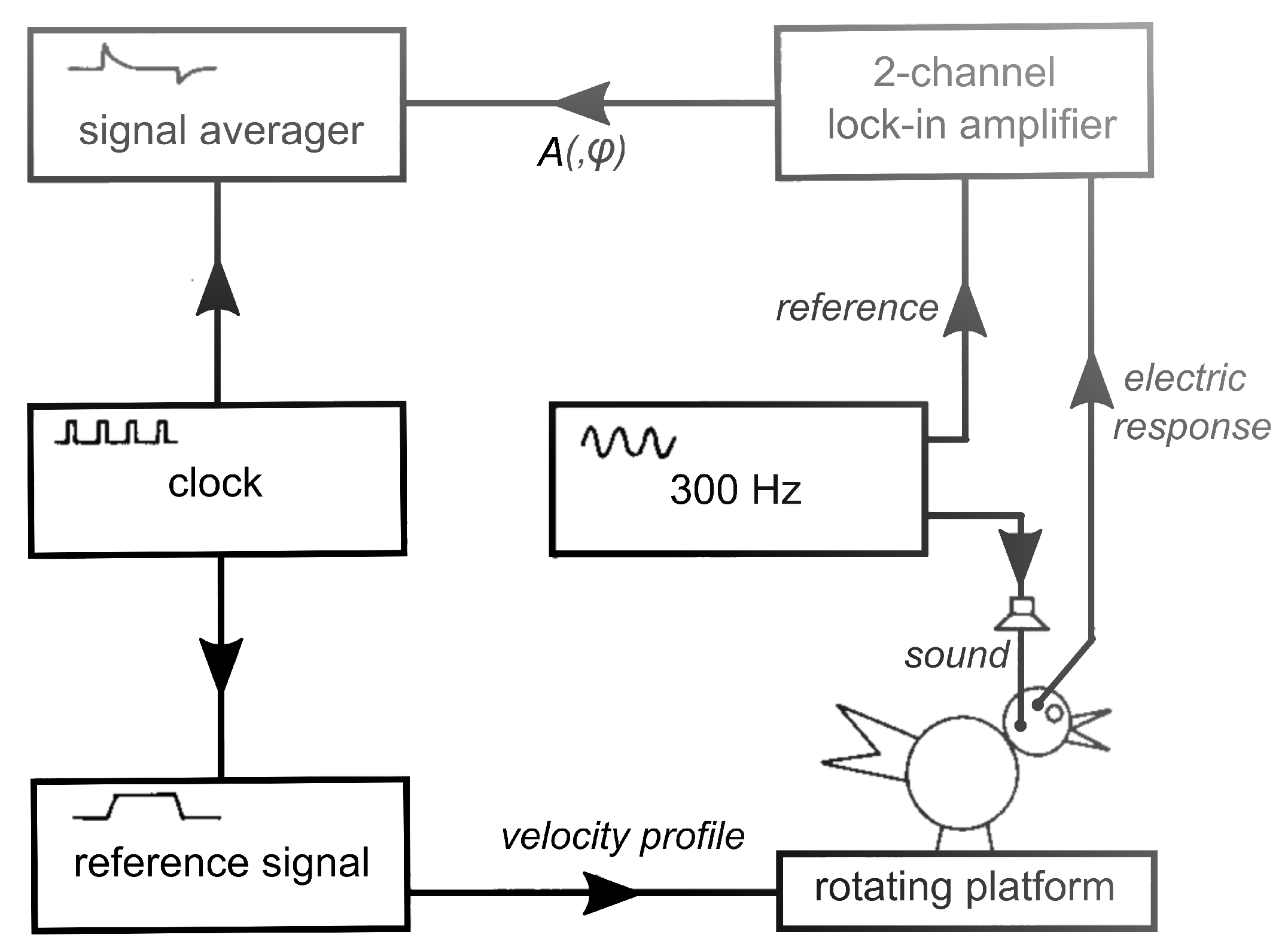 Audiolres 11 00036 g001