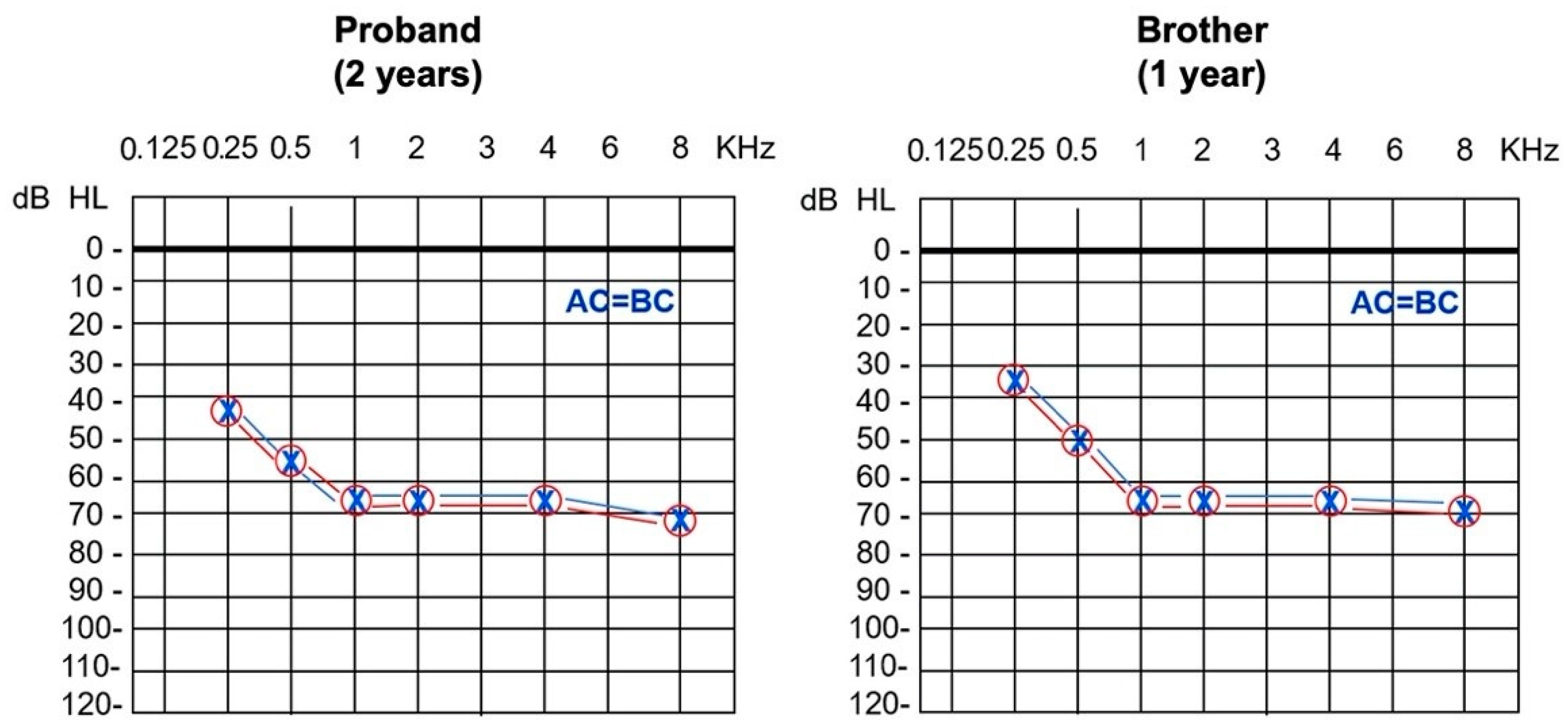 Audiolres 11 00041 g001