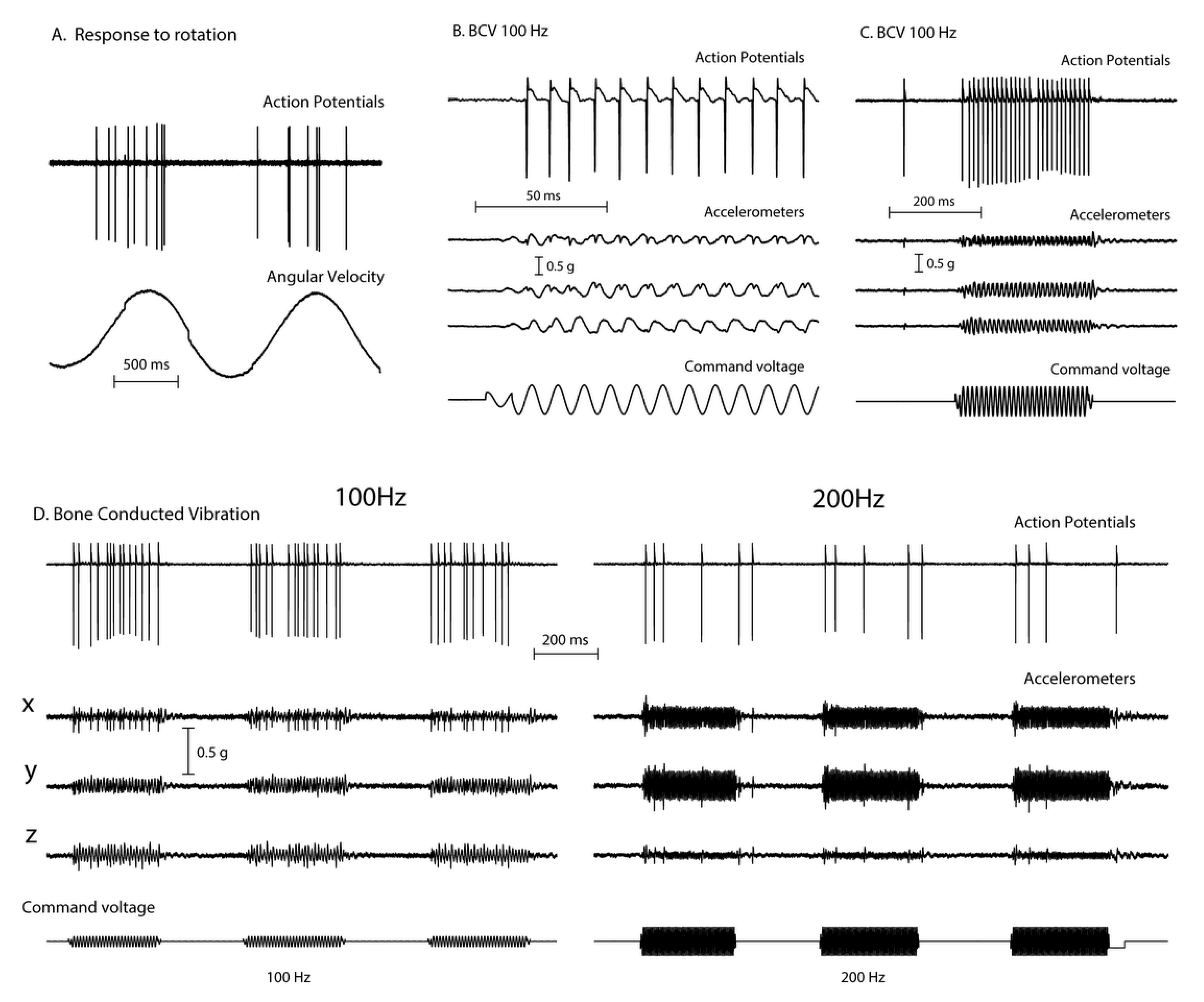 Audiolres 11 00050 g002