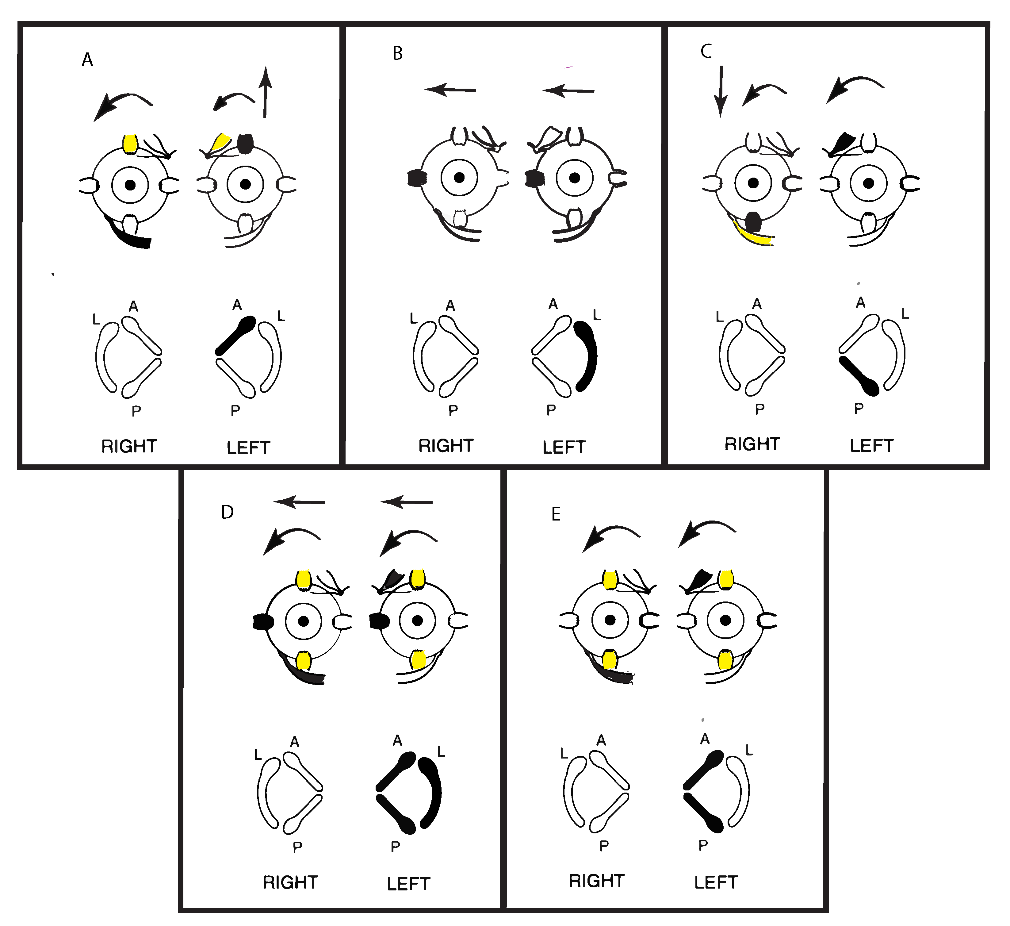 Audiolres 11 00050 g004