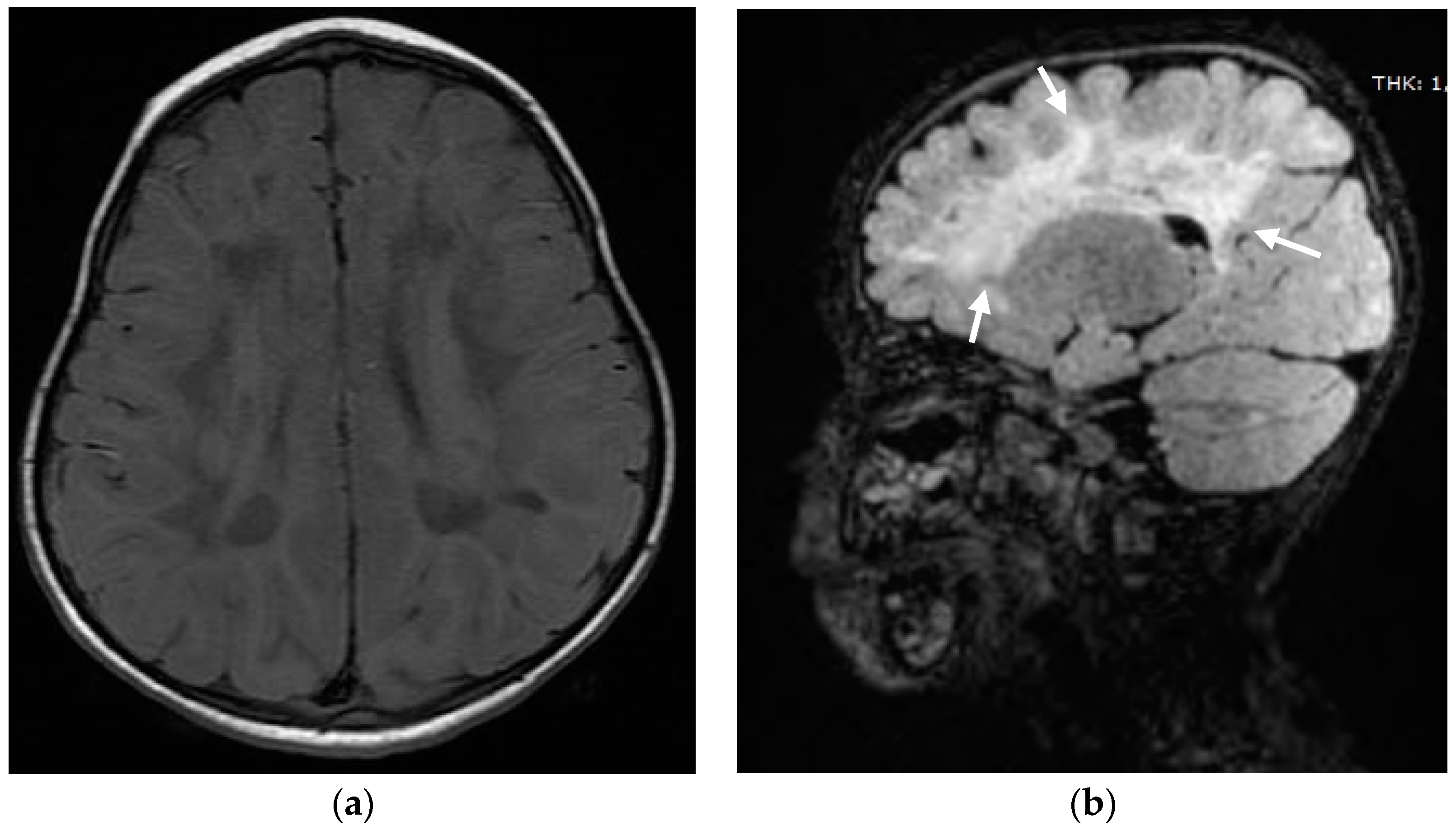 Audiolres 11 00055 g002