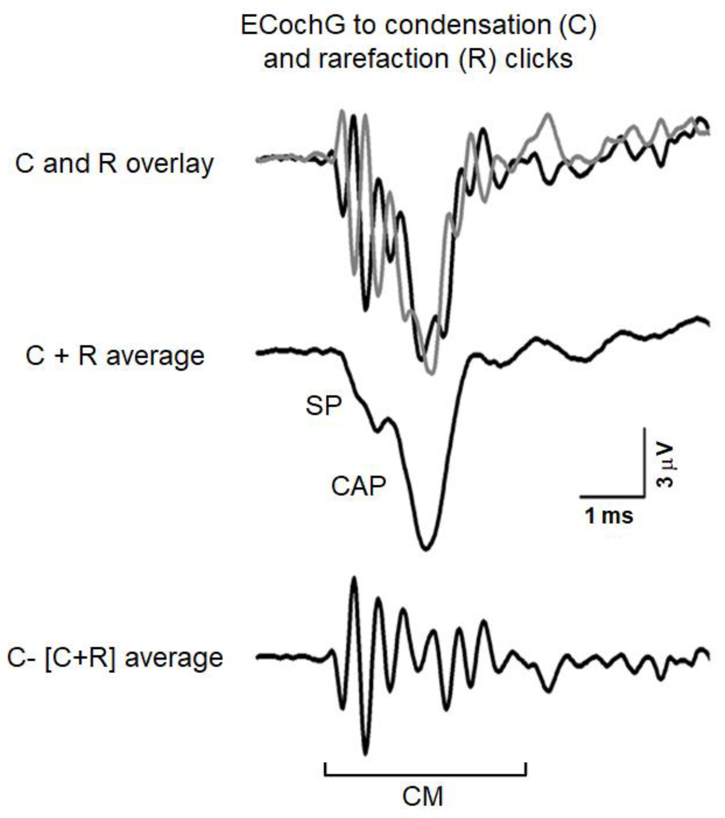 Audiolres 11 00059 g001 Audiolres 11 00059 g001