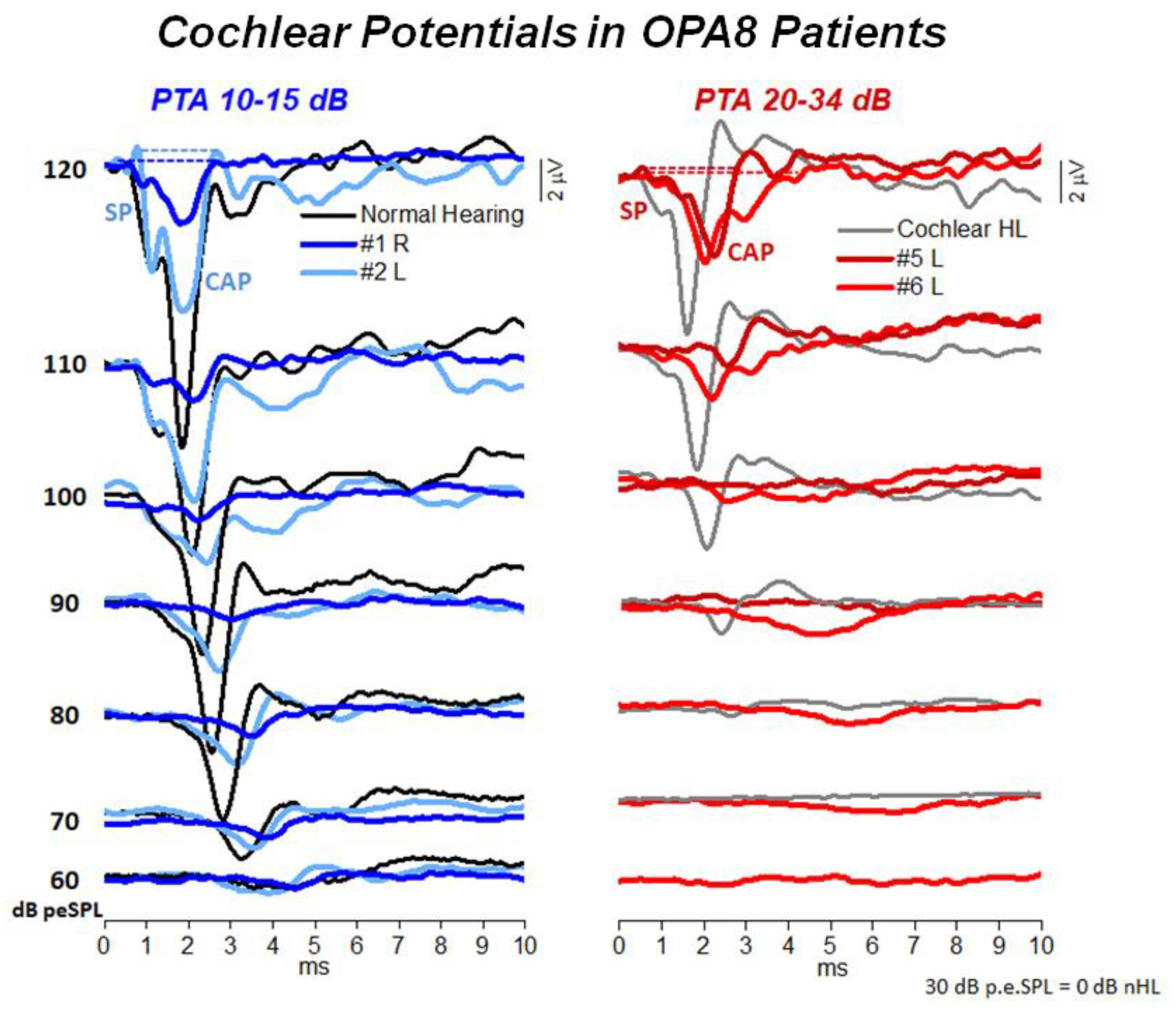 Audiolres 11 00059 g004 Audiolres 11 00059 g004