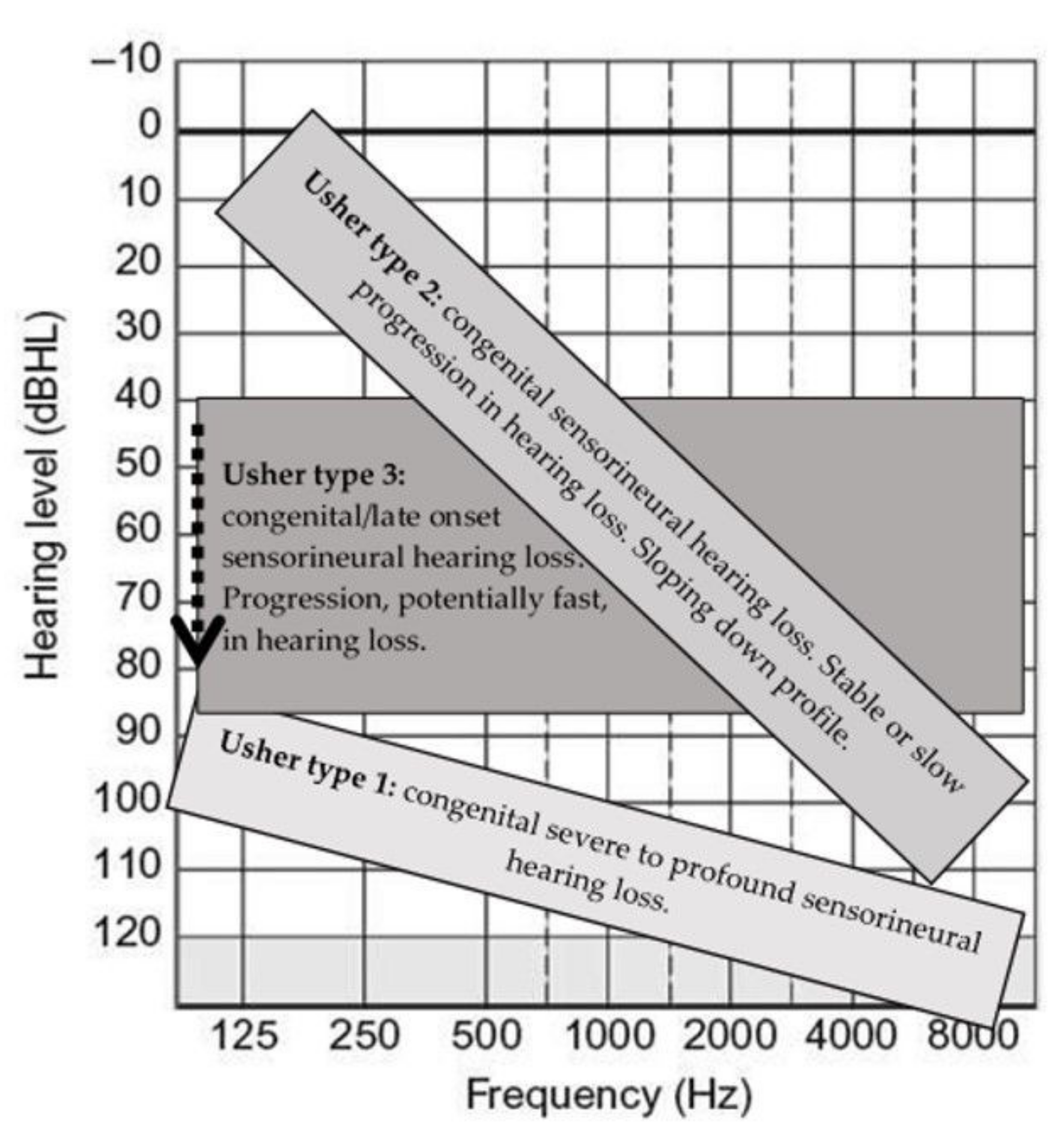 Audiolres 12 00005 g004 Audiolres 12 00005 g004