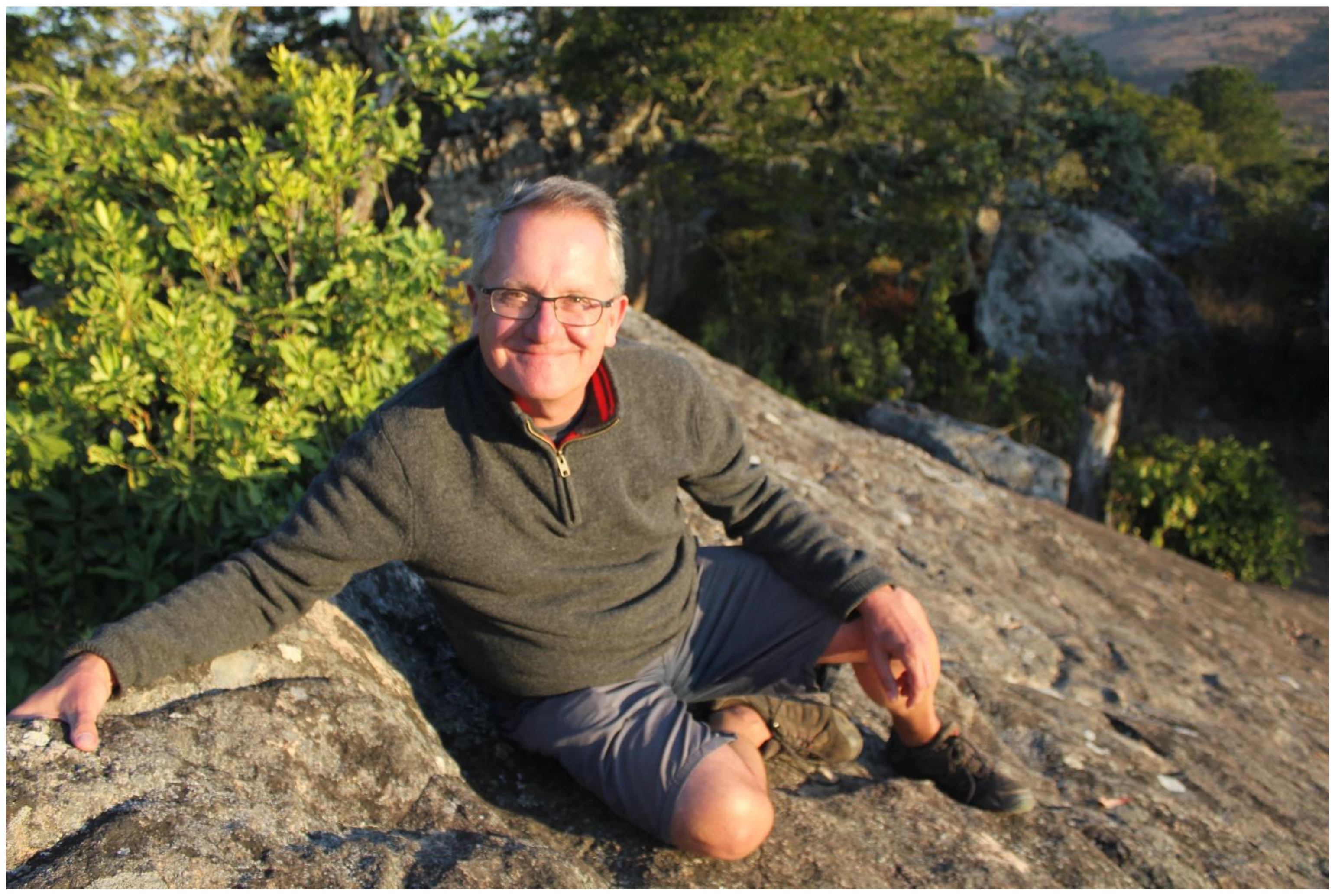 Audiolres 12 00057 g001 550