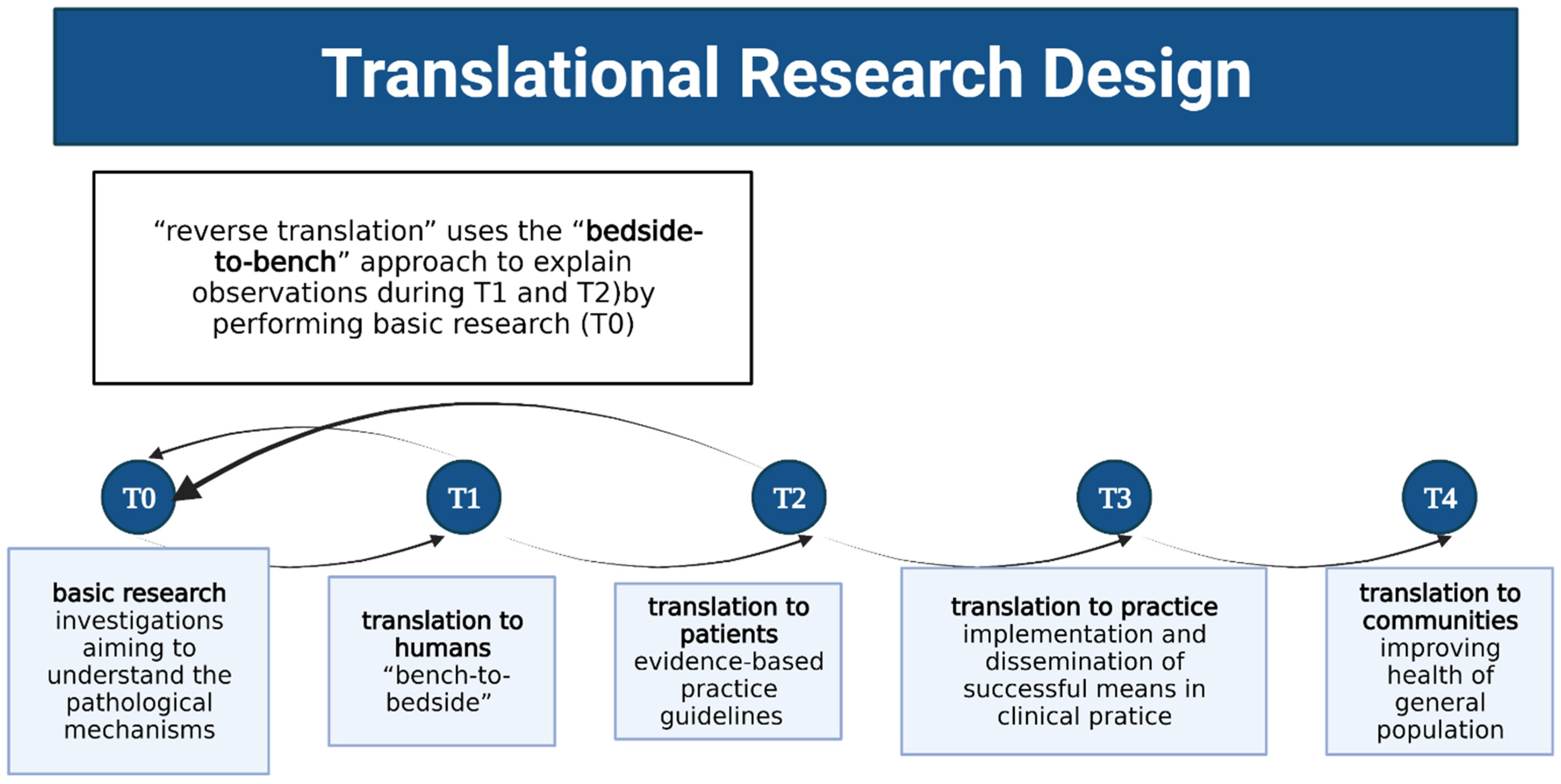Audiology Research | Free Full-Text | Translational Research in ...