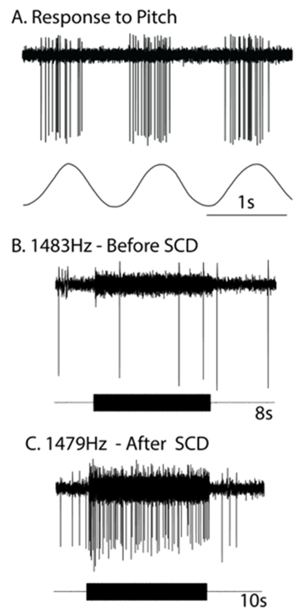 Audiolres 13 00037 g001 Audiolres 13 00037 g001
