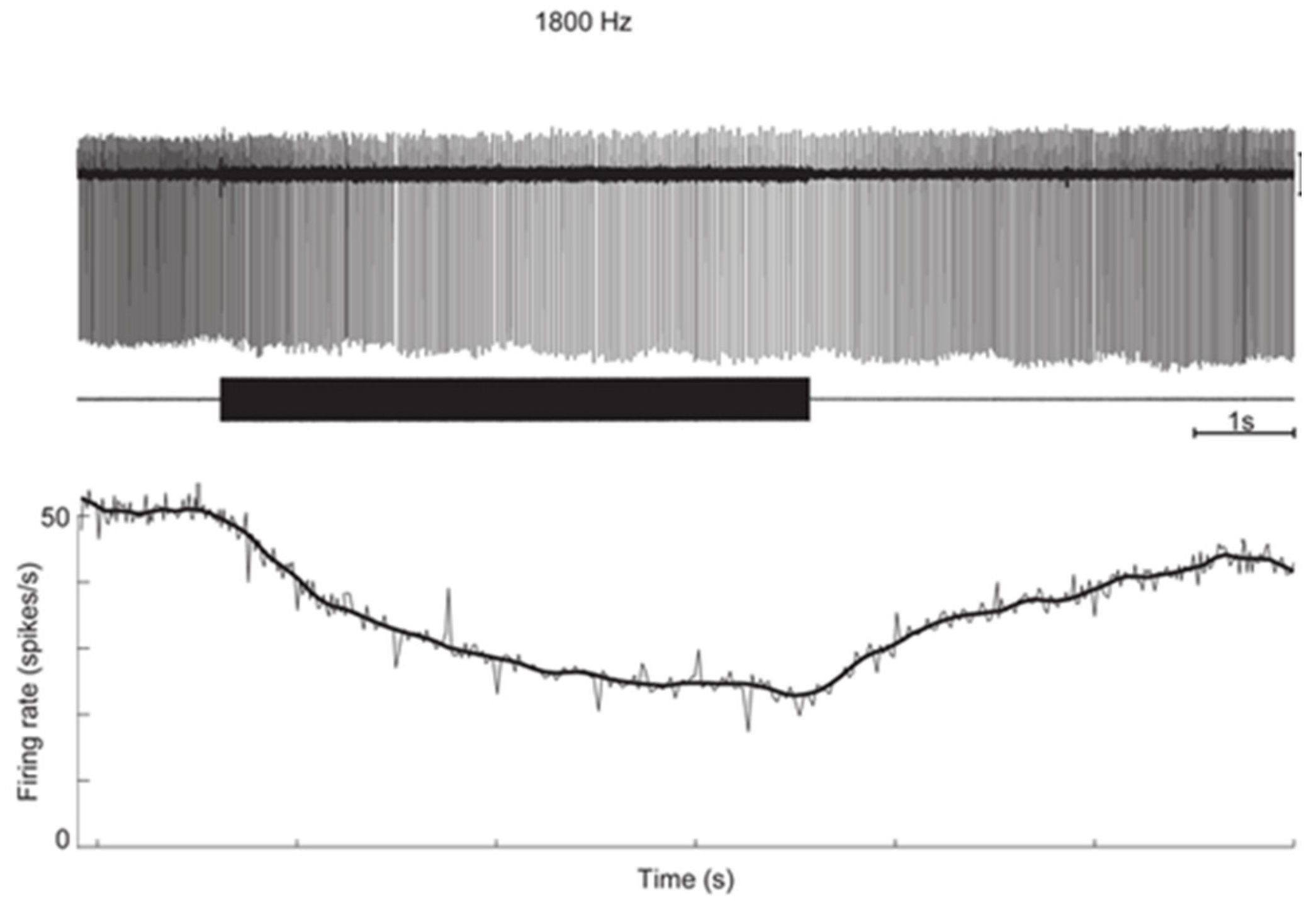 Audiolres 13 00037 g002 Audiolres 13 00037 g002