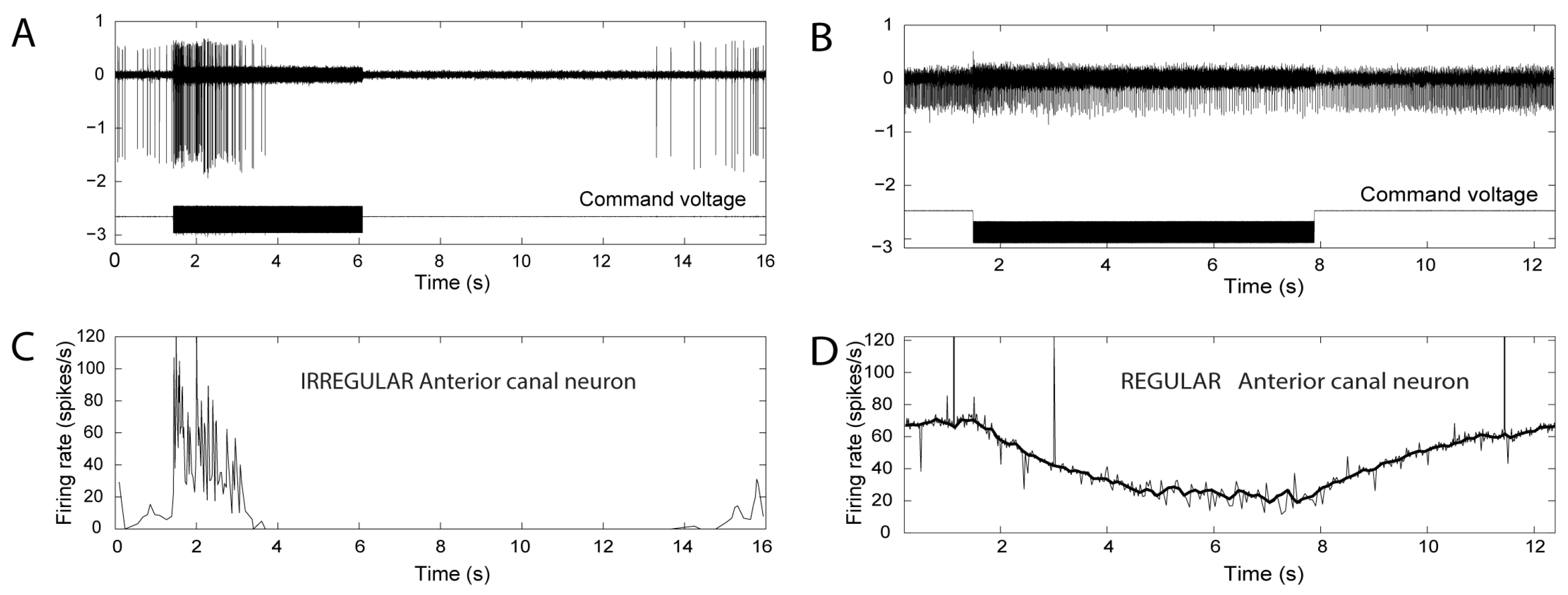 Audiolres 13 00037 g004 Audiolres 13 00037 g004