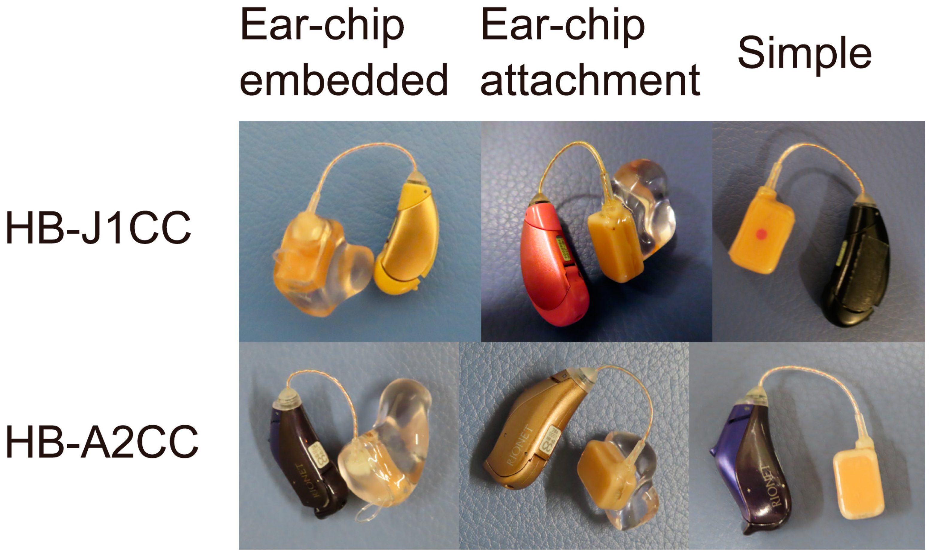 Audiolres 13 00045 g002