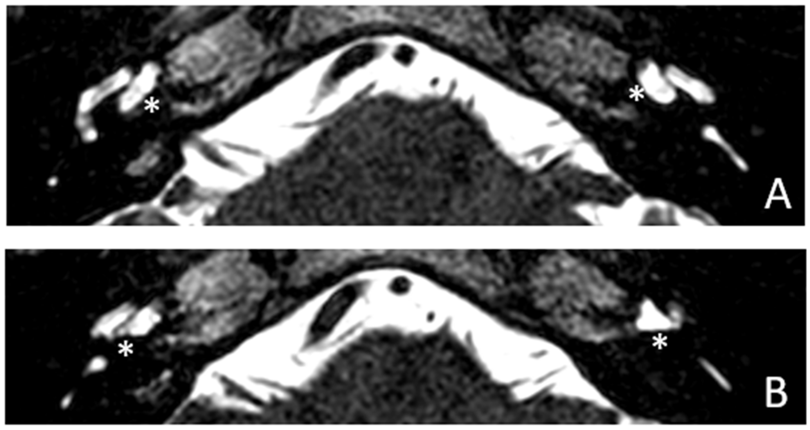 Audiolres 13 00072 g006