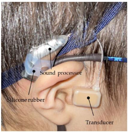 Baluue Ear Model Silicone Tunnels for Ears Silicone Earrings Ear Piercing  Earrings Simulation Ear Model Earrings