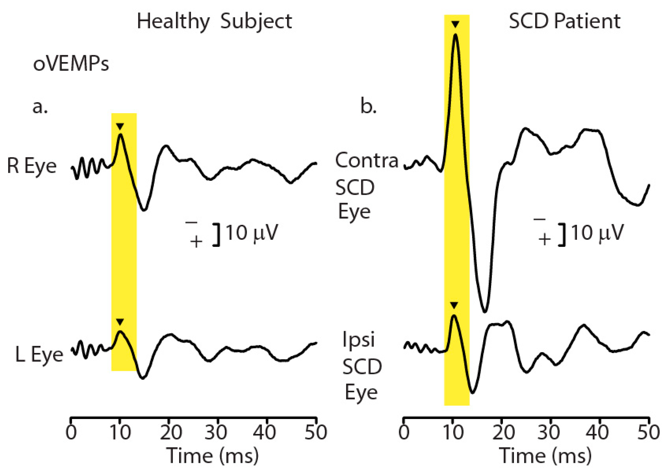 Audiolres 13 00079 g001 Audiolres 13 00079 g001
