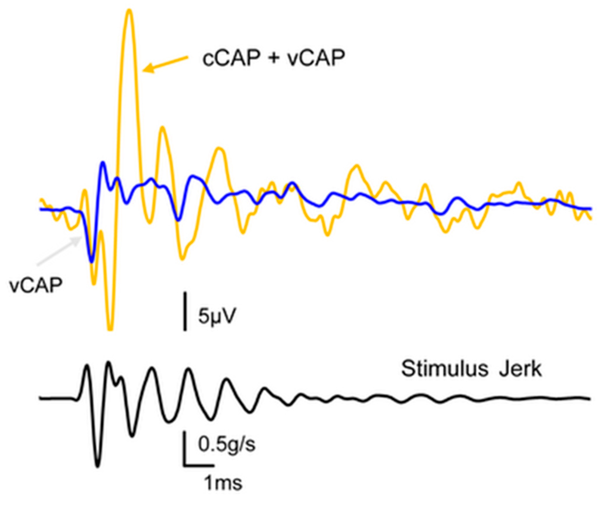 Audiolres 13 00079 g003 Audiolres 13 00079 g003