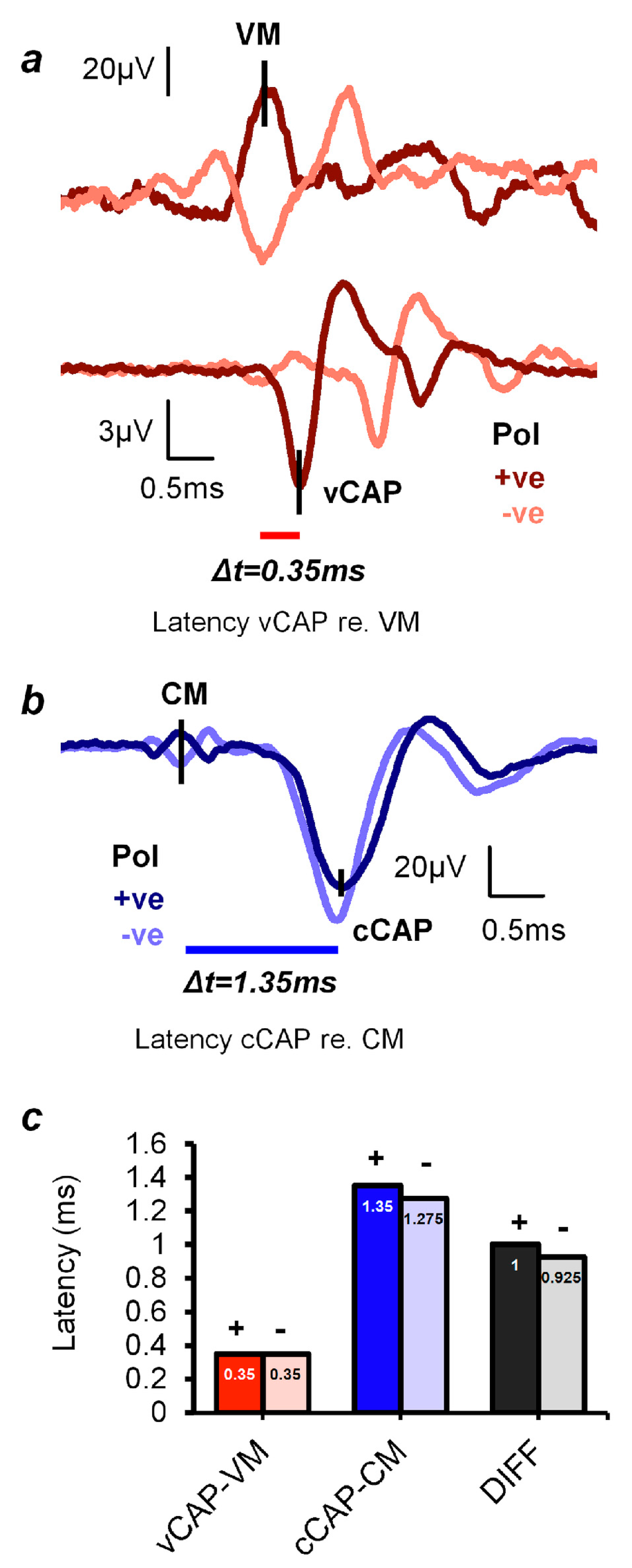 Audiolres 13 00079 g005 Audiolres 13 00079 g005